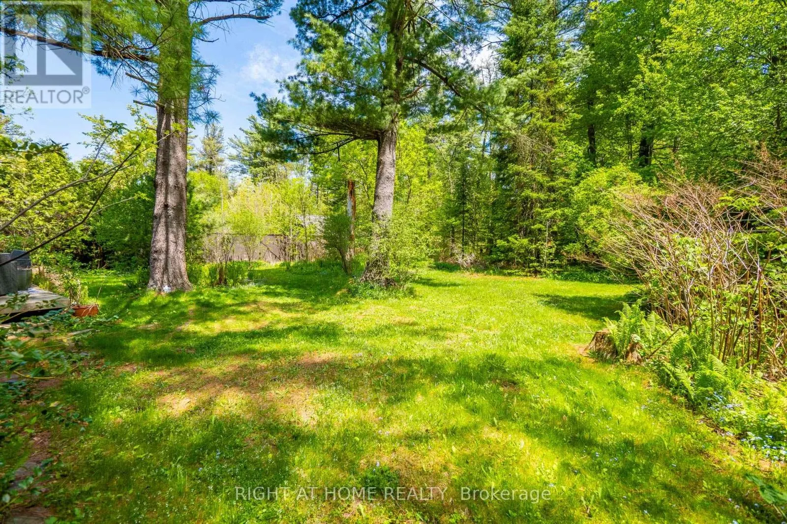 255 SHAVER ROAD