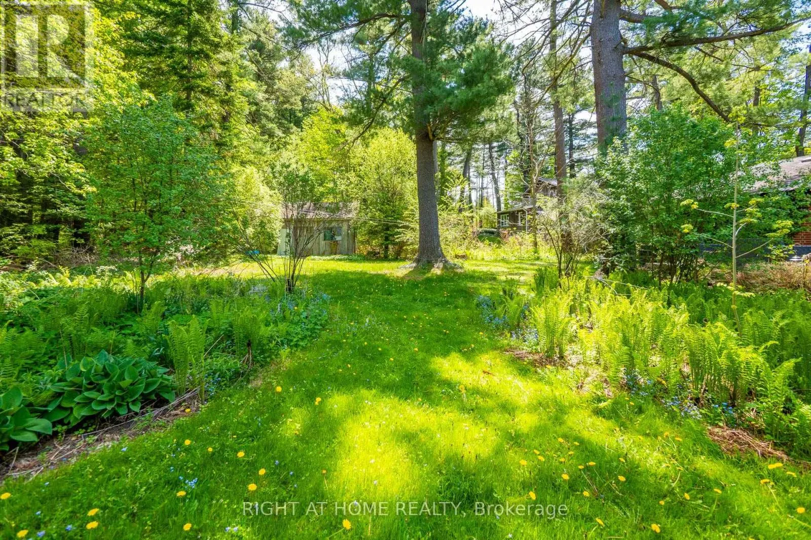 255 SHAVER ROAD
