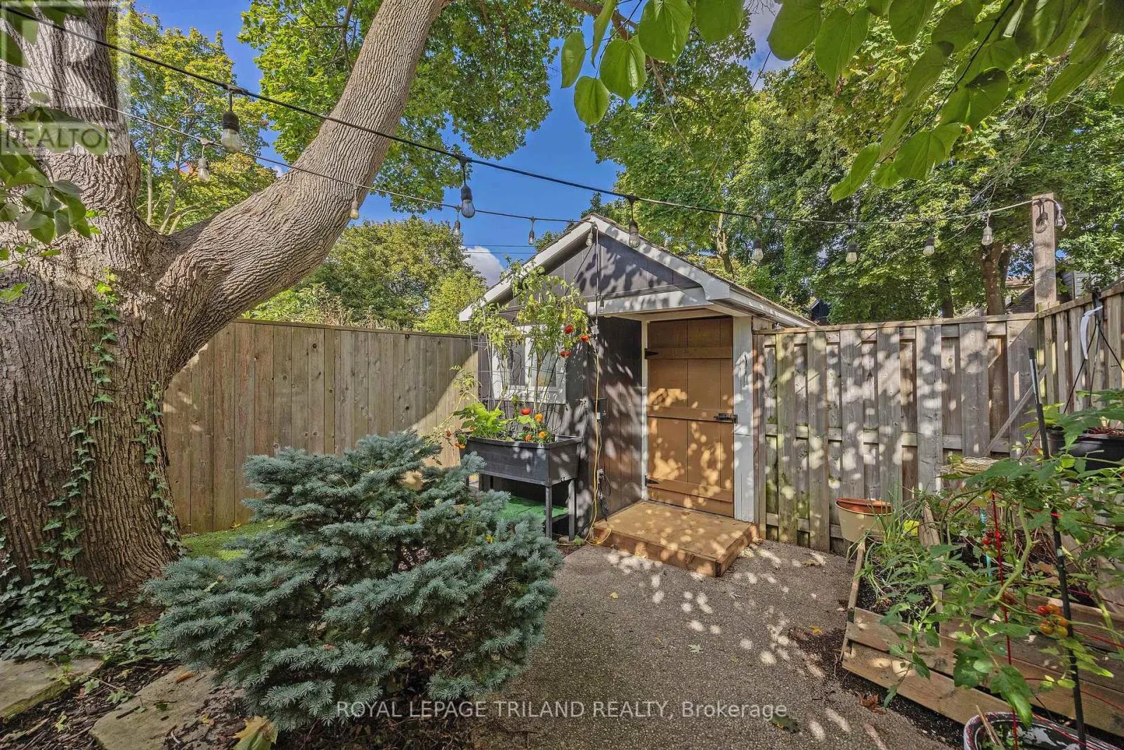 8 MCKENZIE AVENUE
