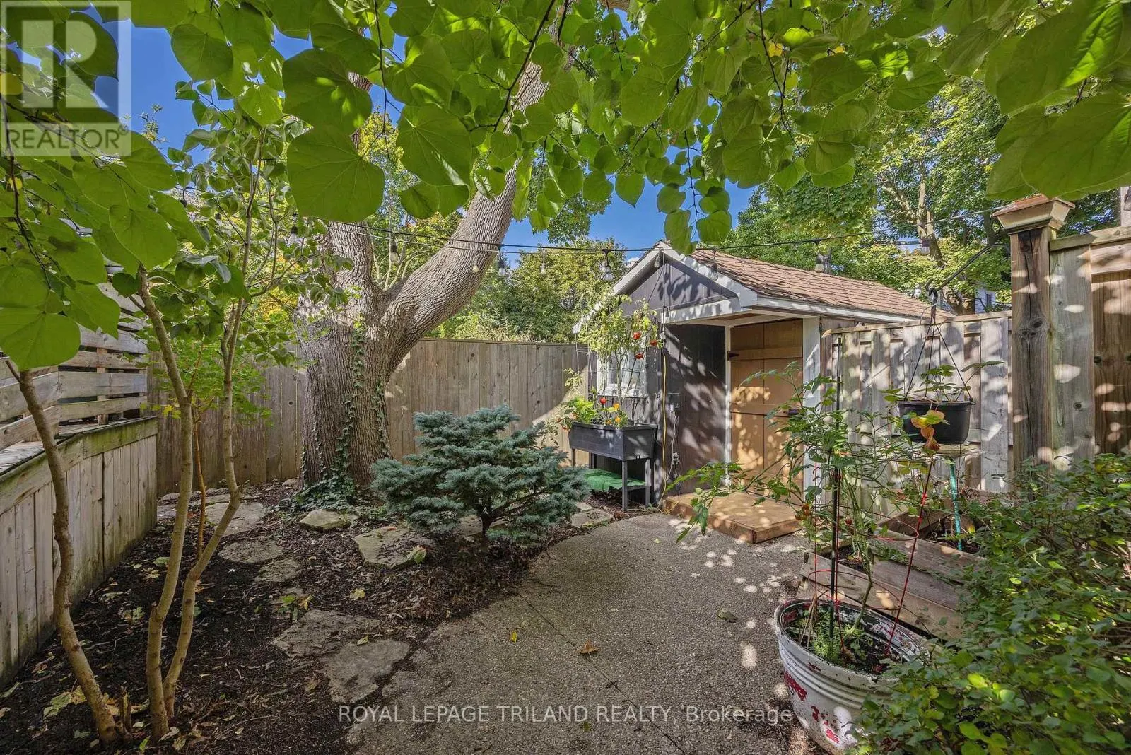 8 MCKENZIE AVENUE