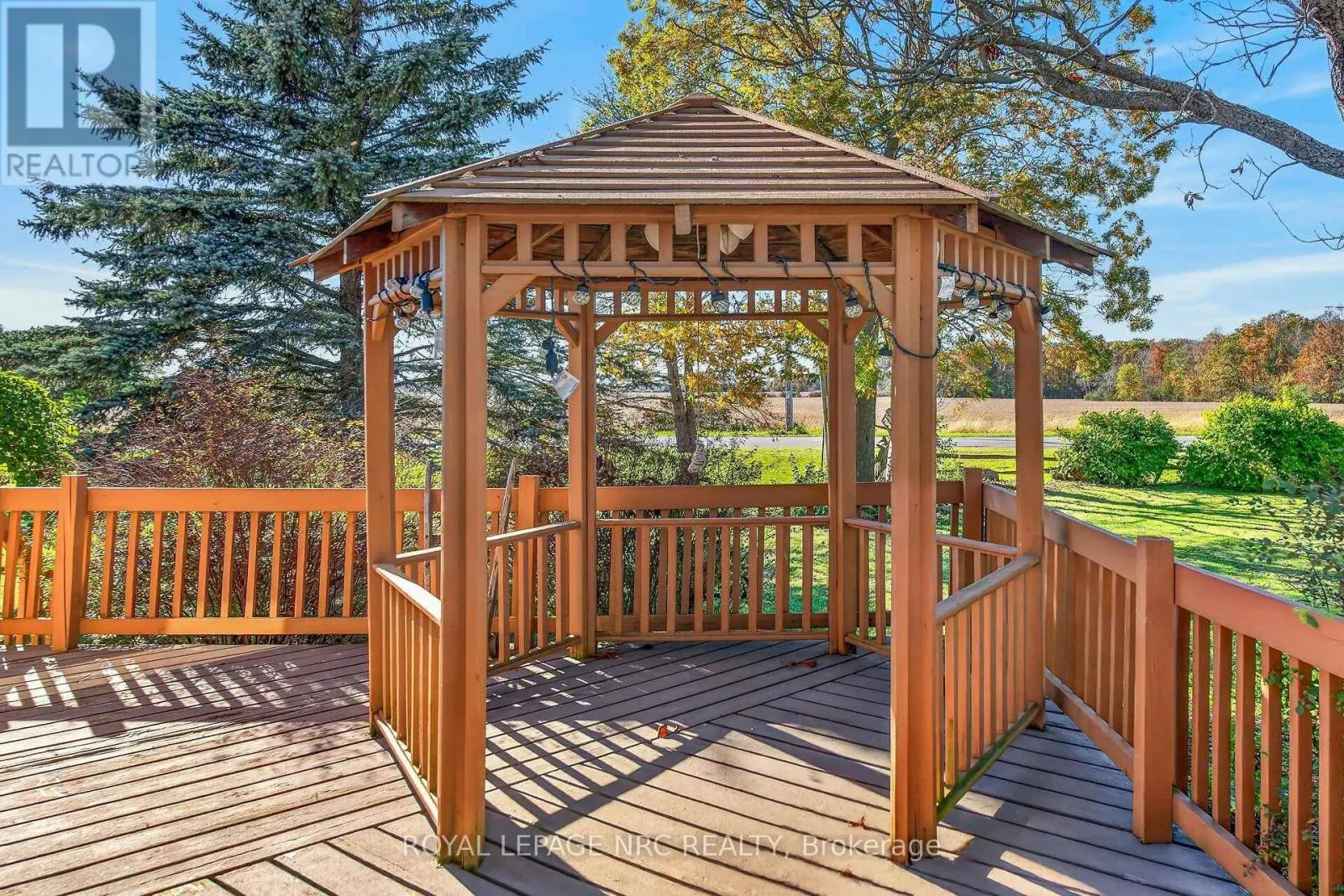 542 HALDIMAND 50 ROAD