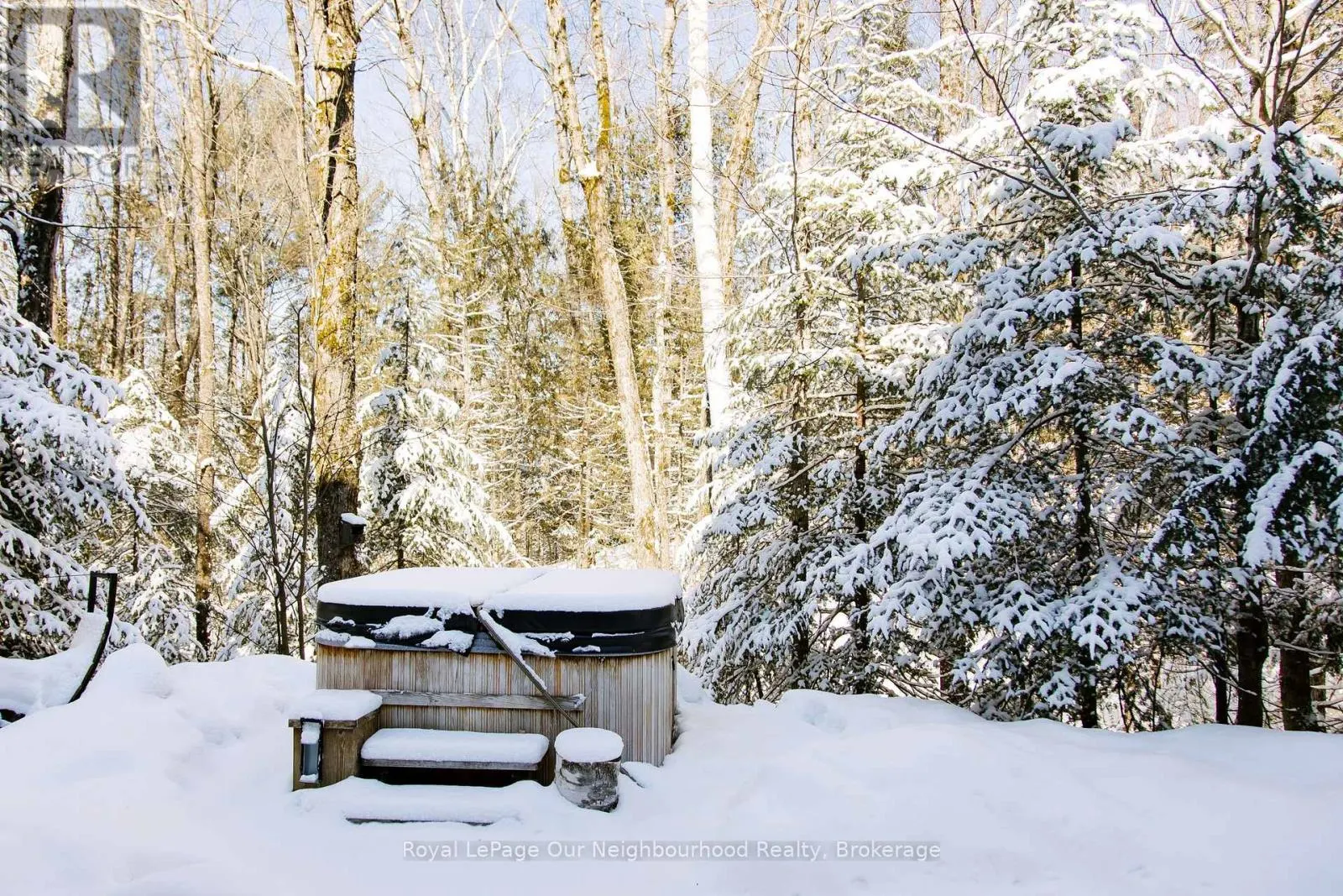 1042 SKI RIDGE TRAIL