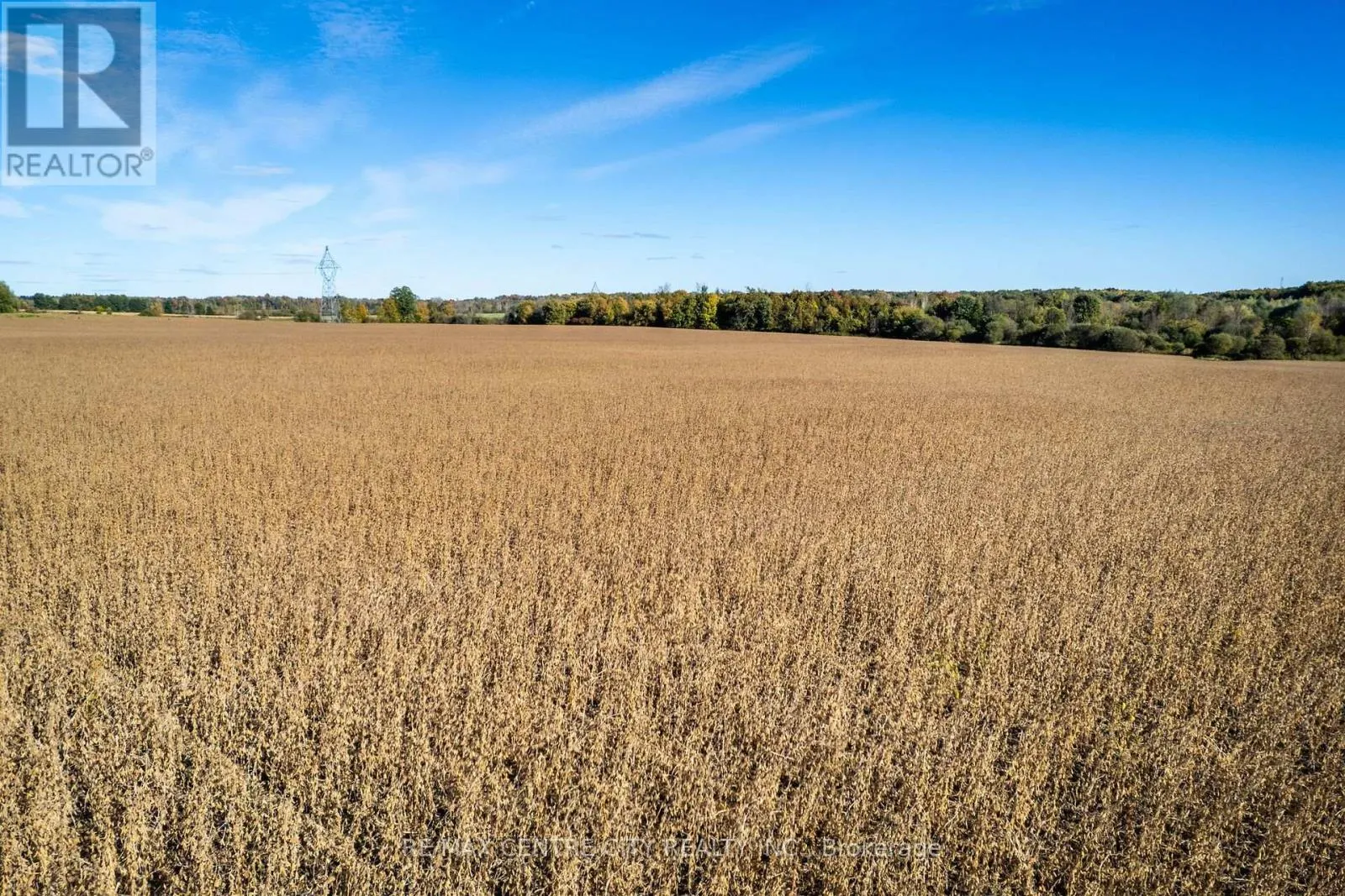 PT LT 38 CONC 7 COUNTY ROAD 18