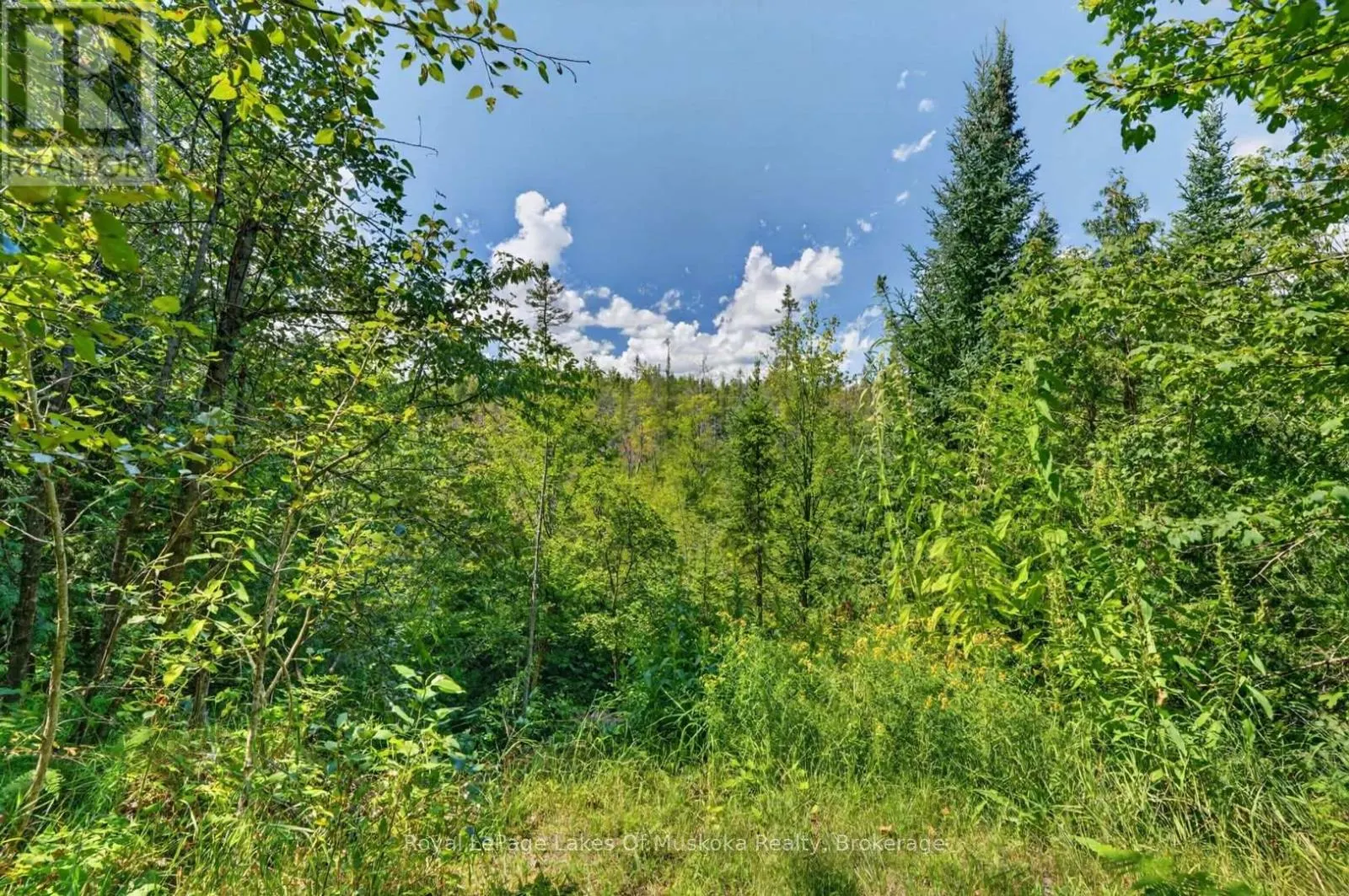 2671 HIGHWAY 118 EAST