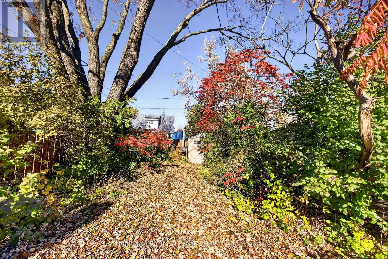 323 DONALD STREET