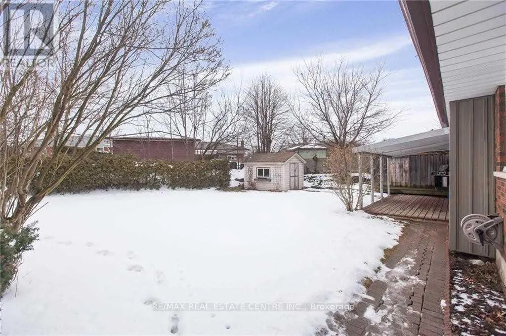 LOWER - 119 ALISON AVENUE