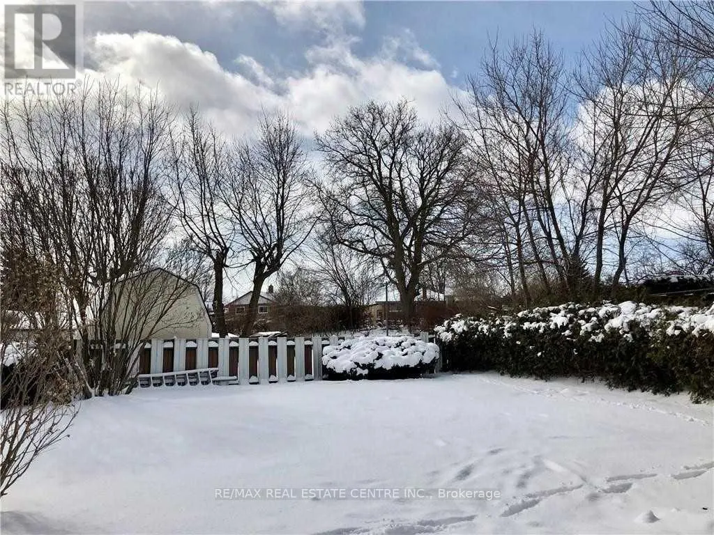 LOWER - 119 ALISON AVENUE