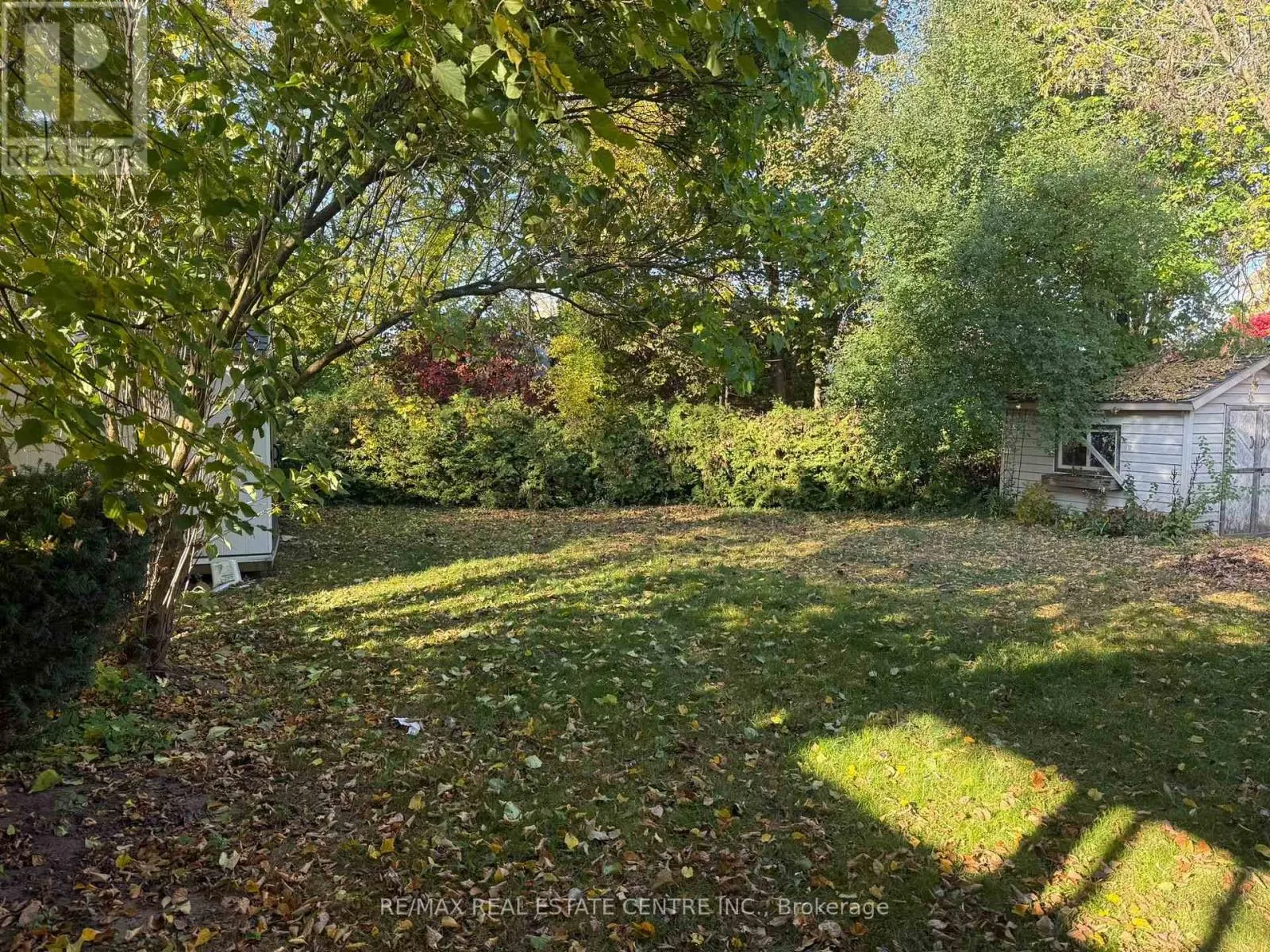 LOWER - 119 ALISON AVENUE