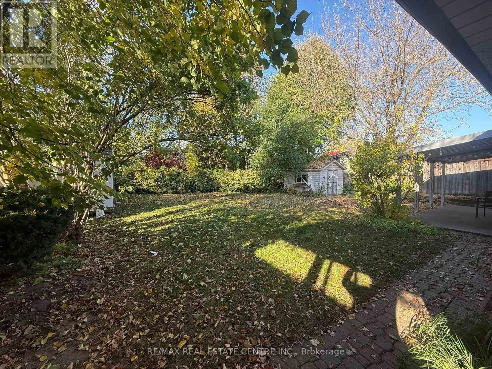 LOWER - 119 ALISON AVENUE