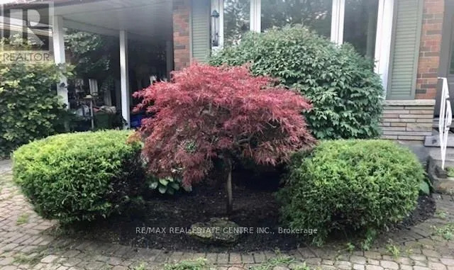 LOWER - 119 ALISON AVENUE