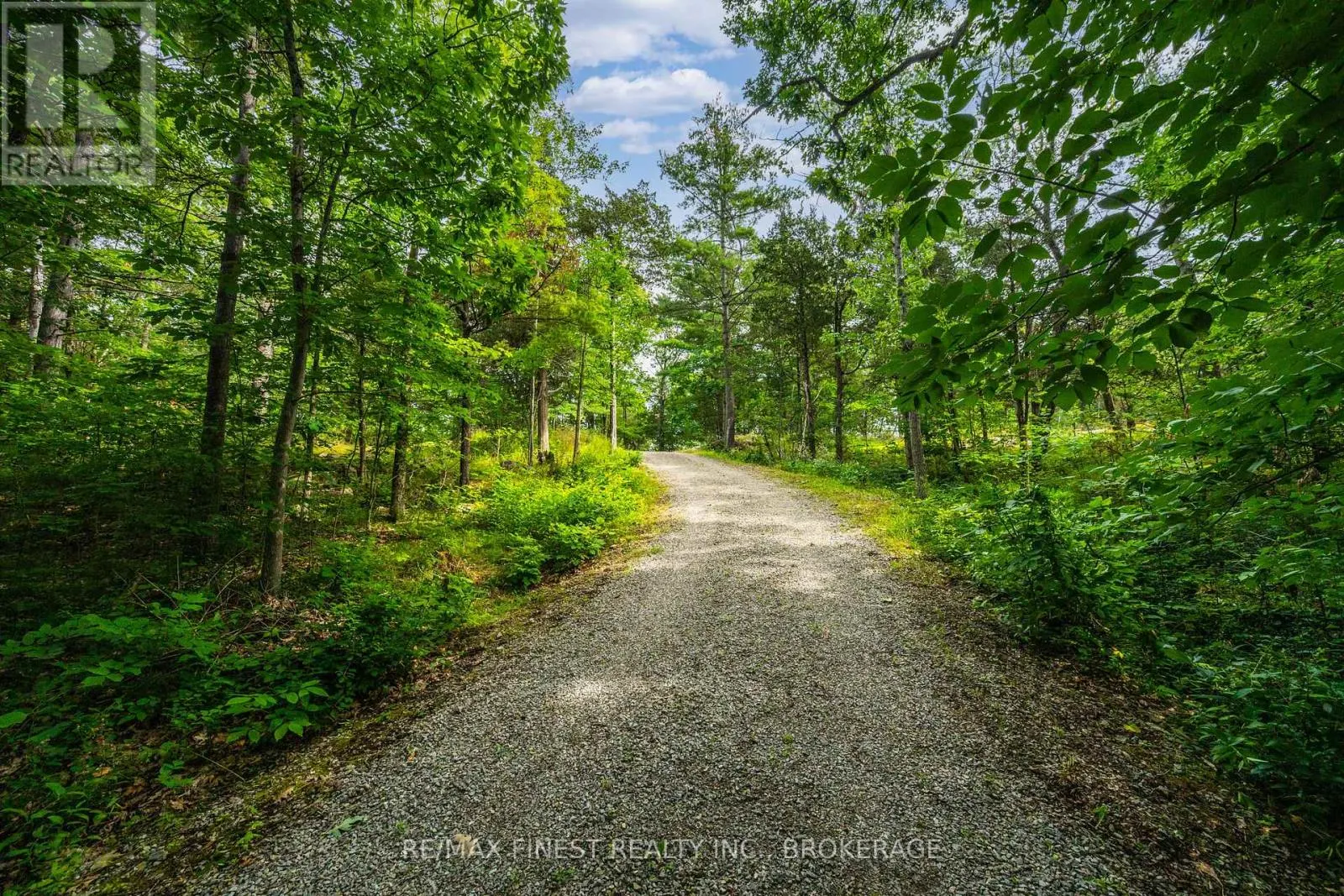 169 OLD RIVER ROAD