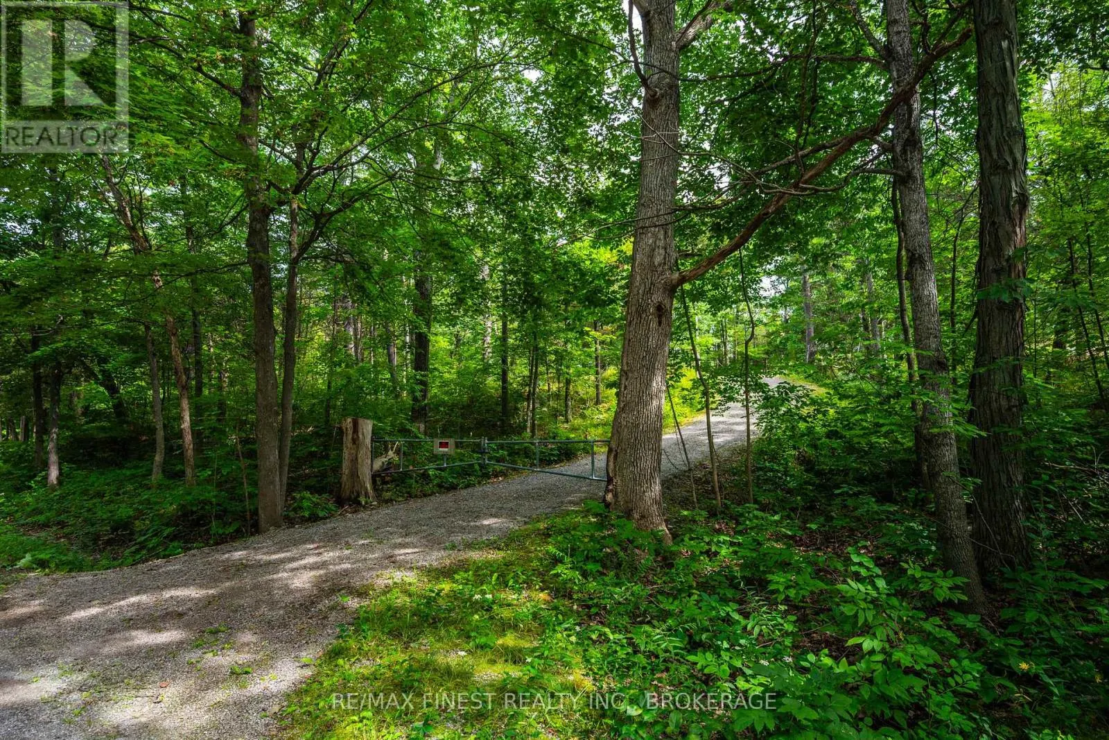 169 OLD RIVER ROAD