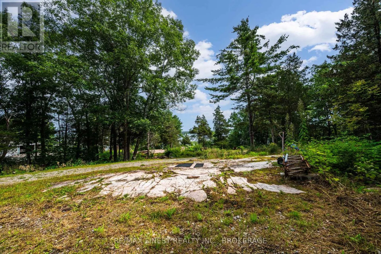 169 OLD RIVER ROAD