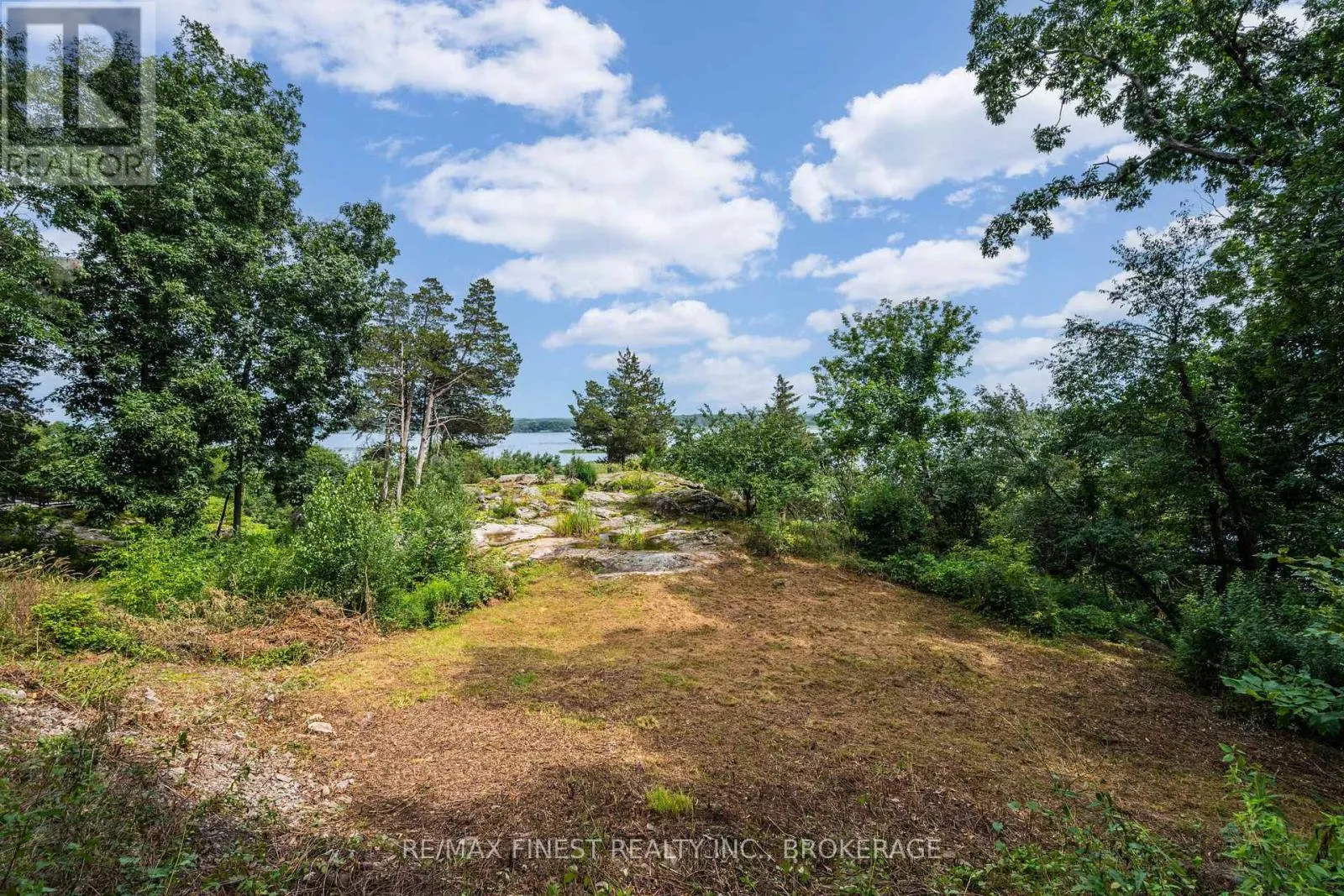 169 OLD RIVER ROAD