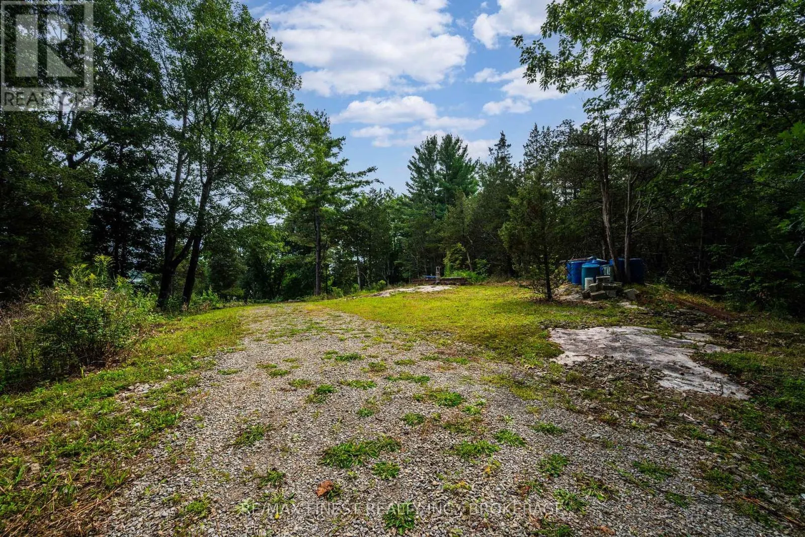169 OLD RIVER ROAD