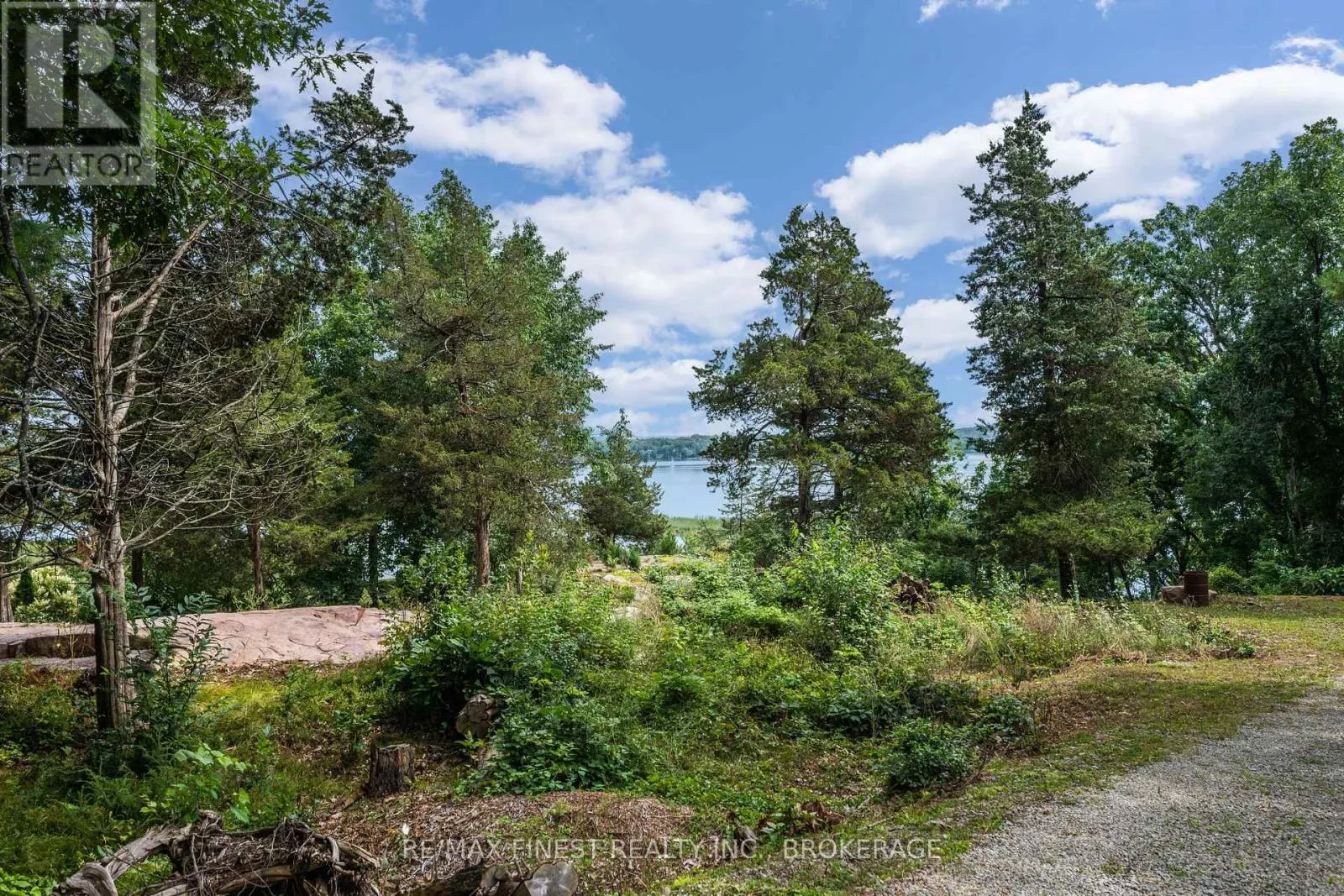 169 OLD RIVER ROAD