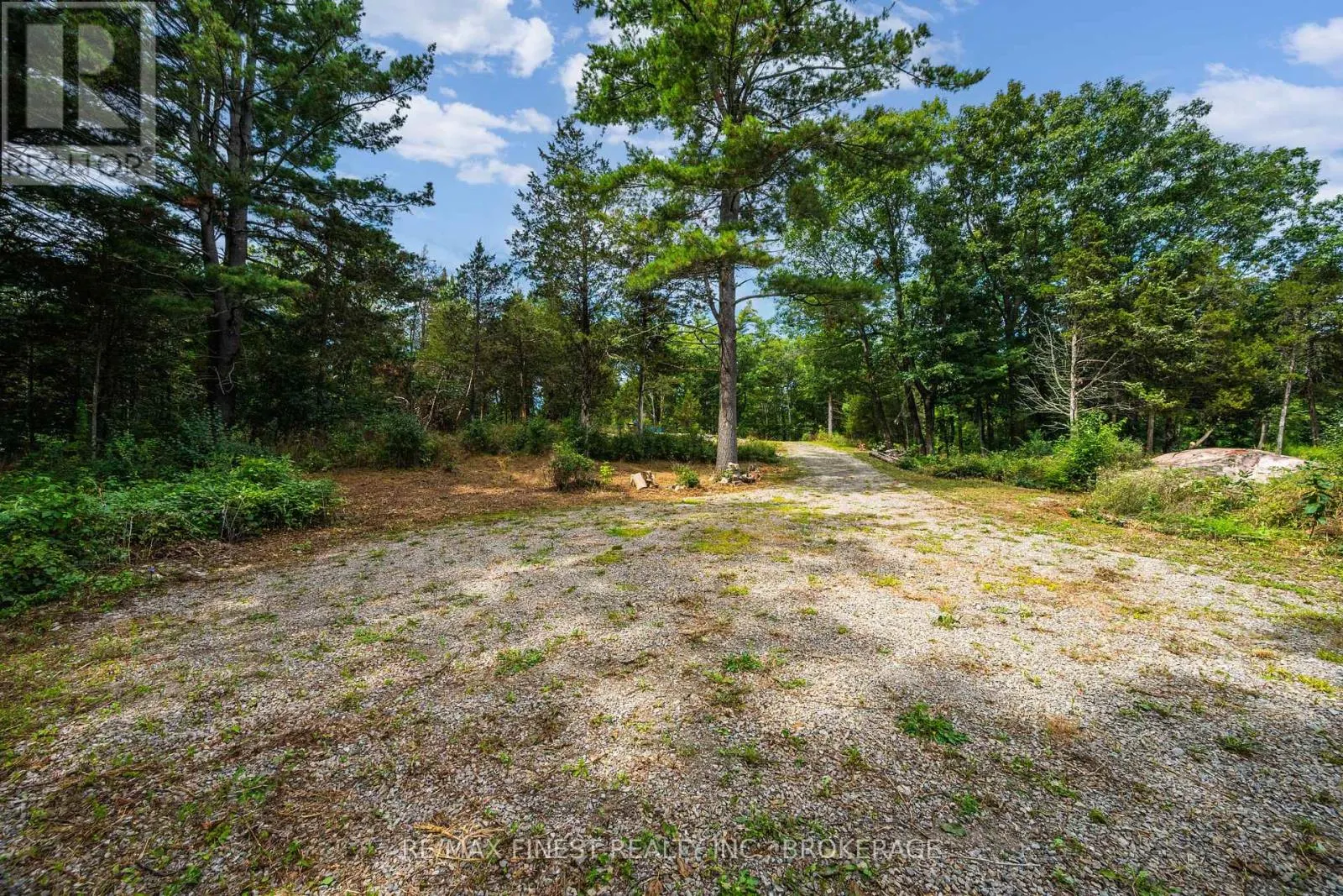 169 OLD RIVER ROAD