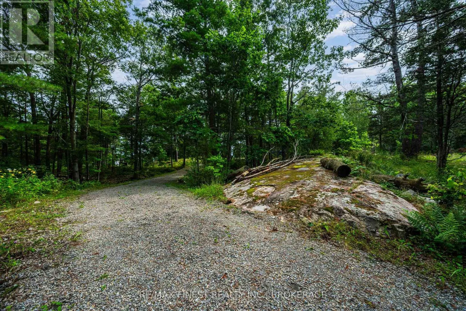 169 OLD RIVER ROAD
