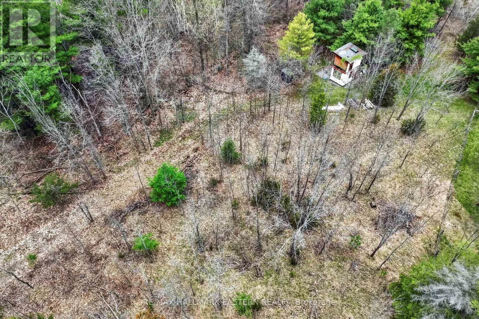 22 WINTER ROAD