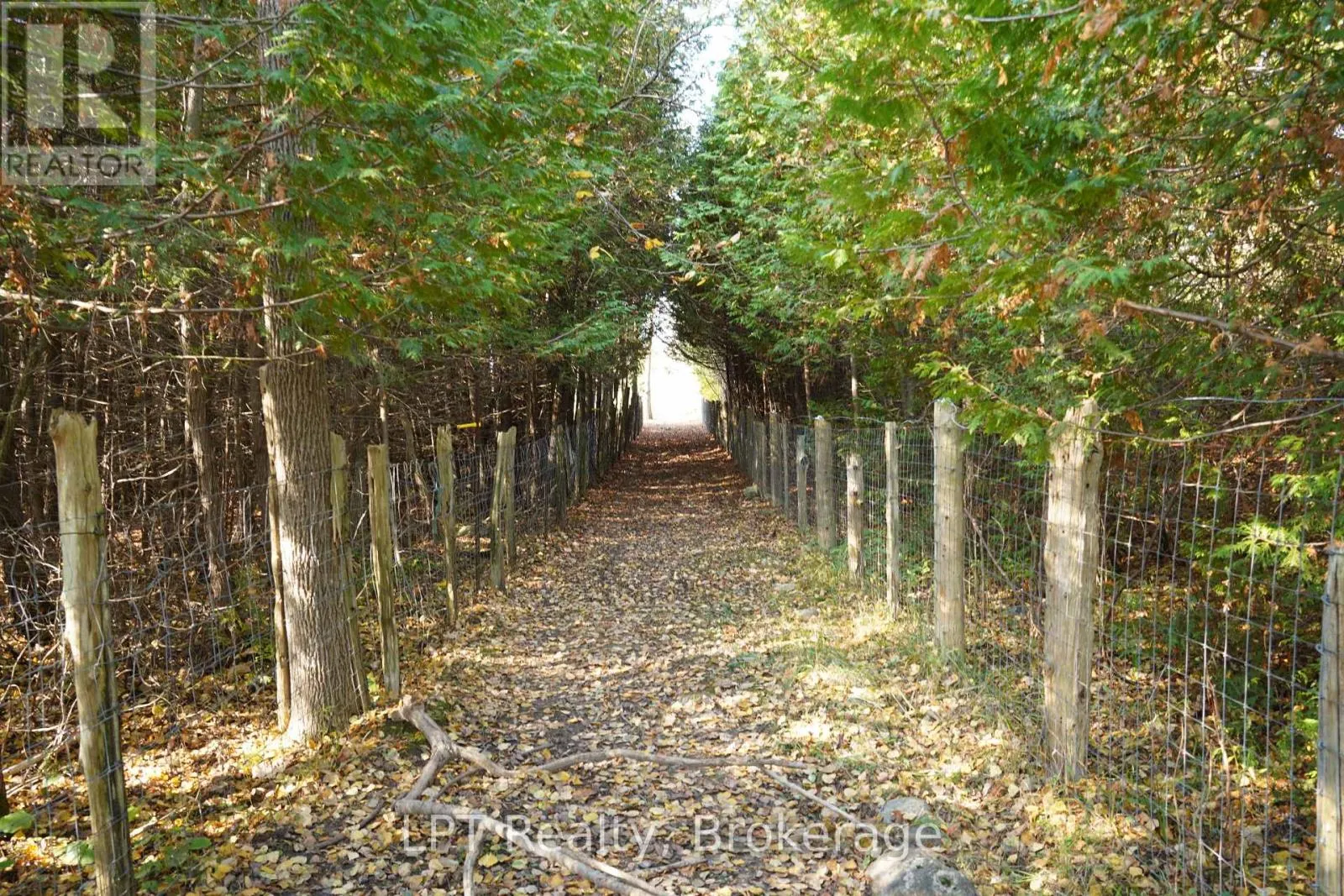 823216 MASSIE SIDE ROAD