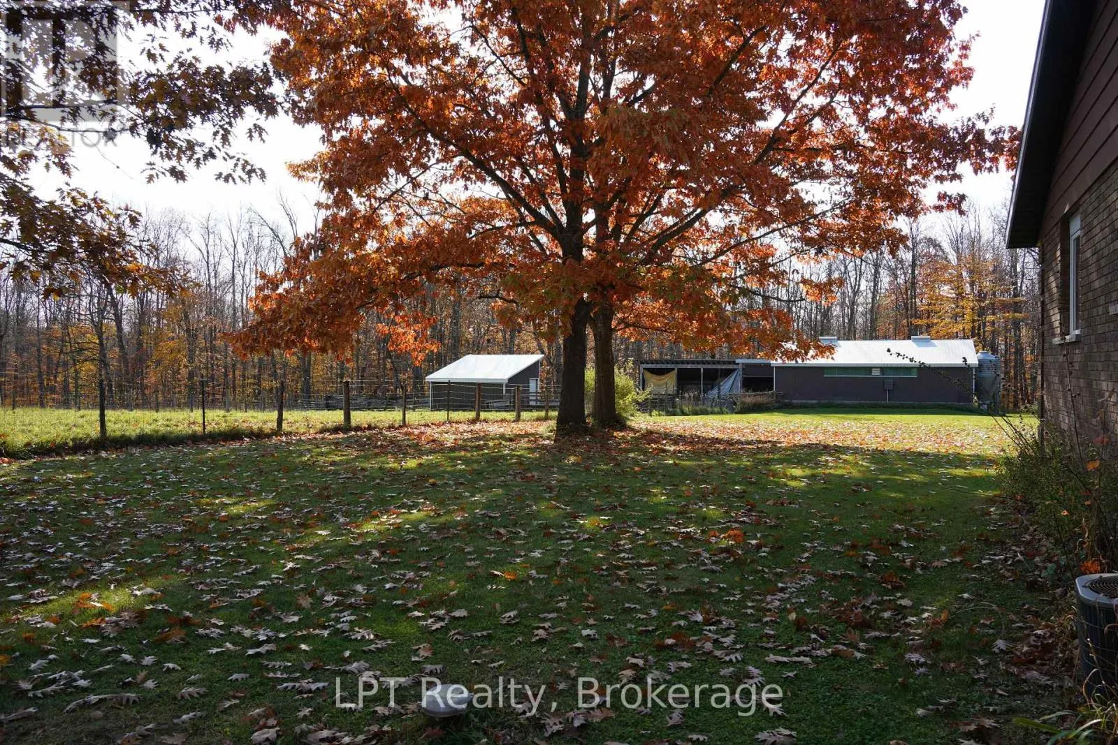 823216 MASSIE SIDE ROAD