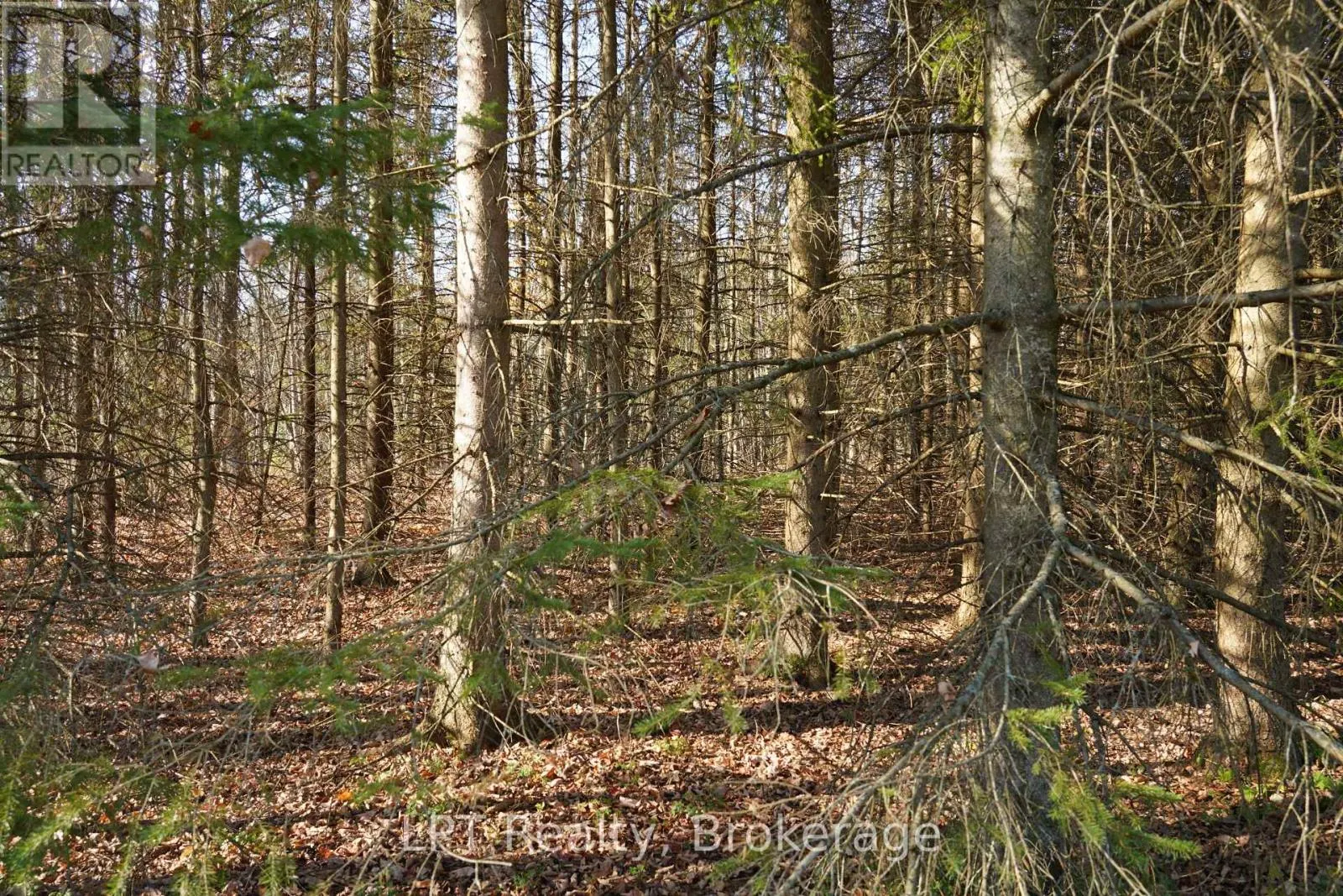 823216 MASSIE SIDE ROAD