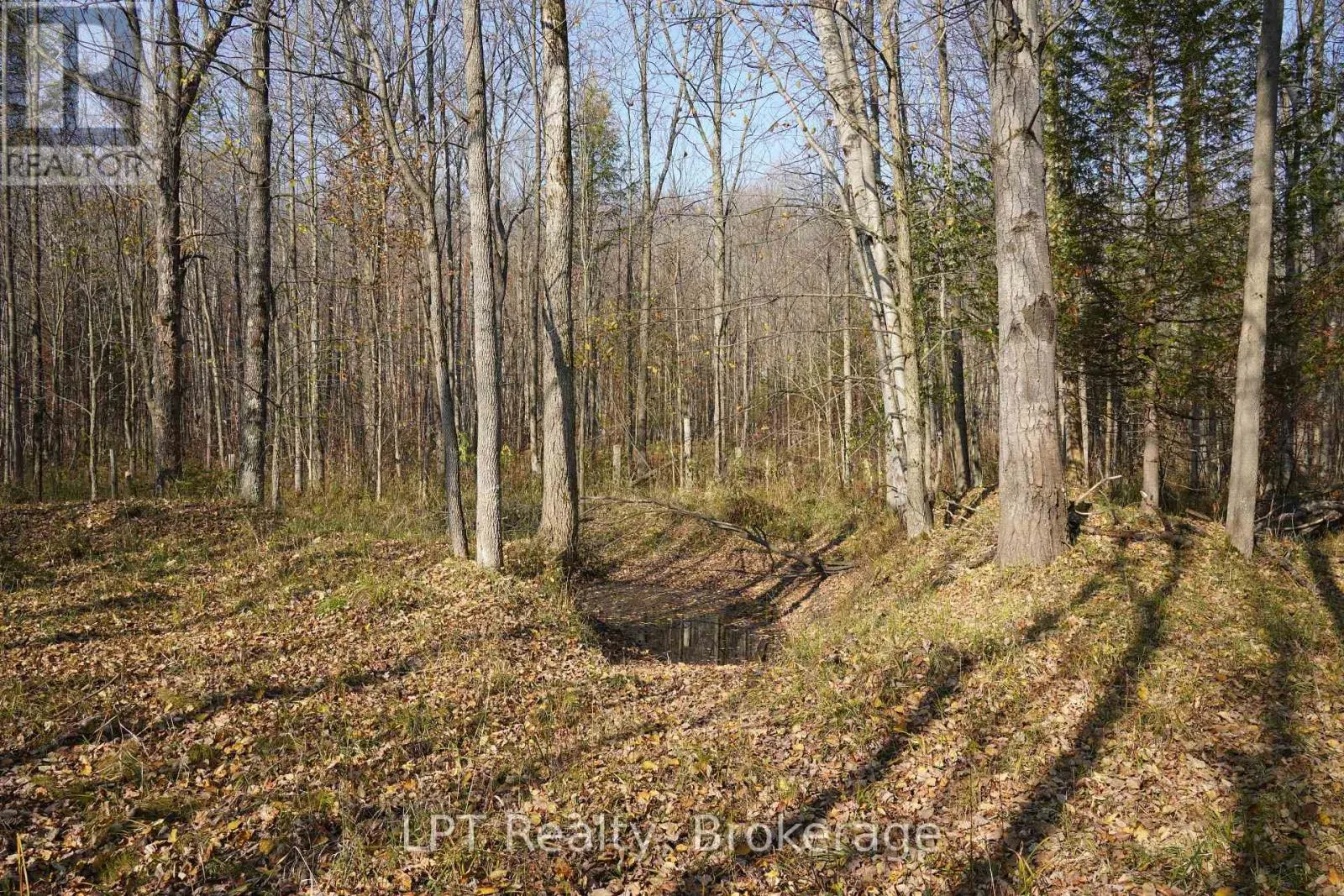 823216 MASSIE SIDE ROAD