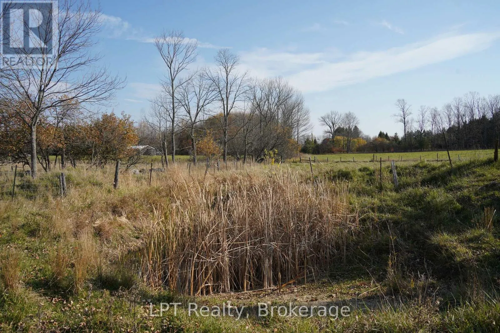 823216 MASSIE SIDE ROAD
