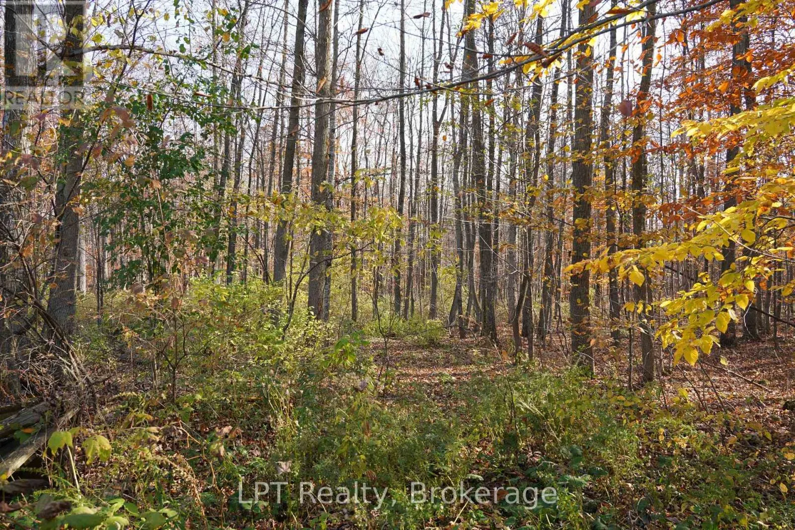 823216 MASSIE SIDE ROAD