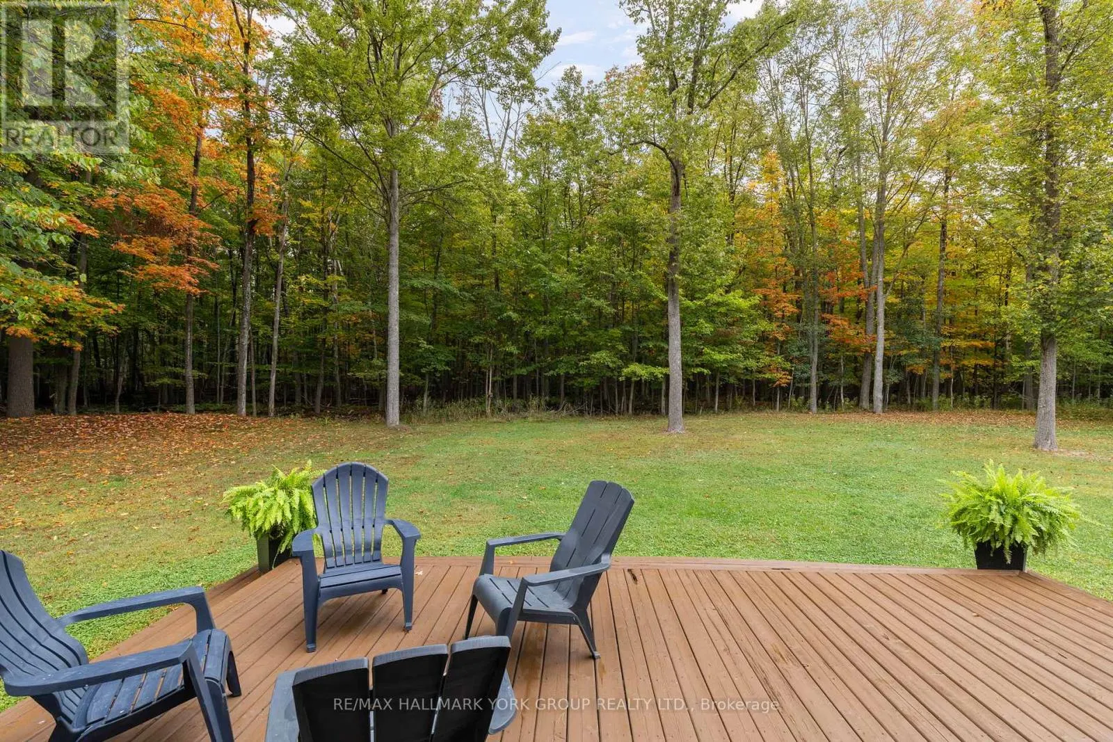 1628 MUSKOKA ROAD N