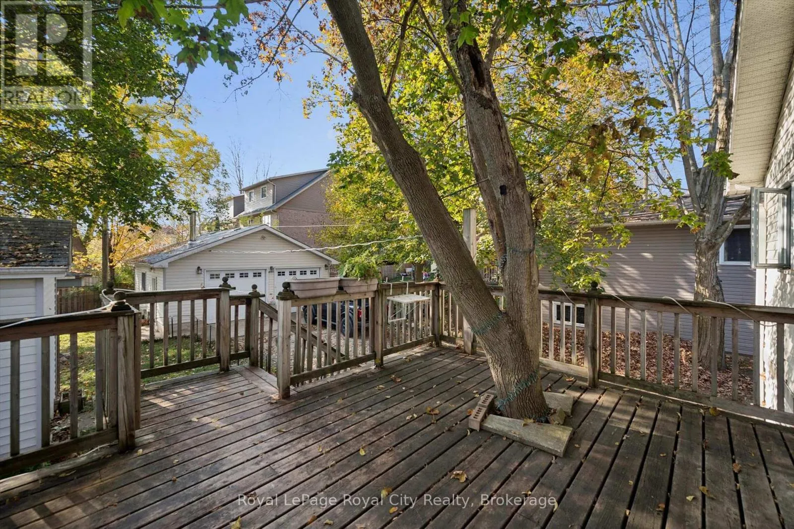 161 CAMERON STREET
