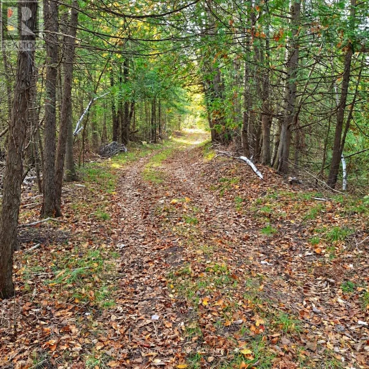 LOT 13 HARTLEY RD ROAD