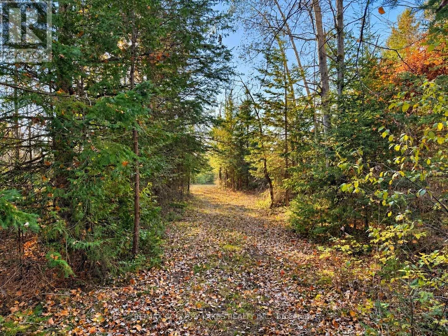 LOT 13 HARTLEY RD ROAD
