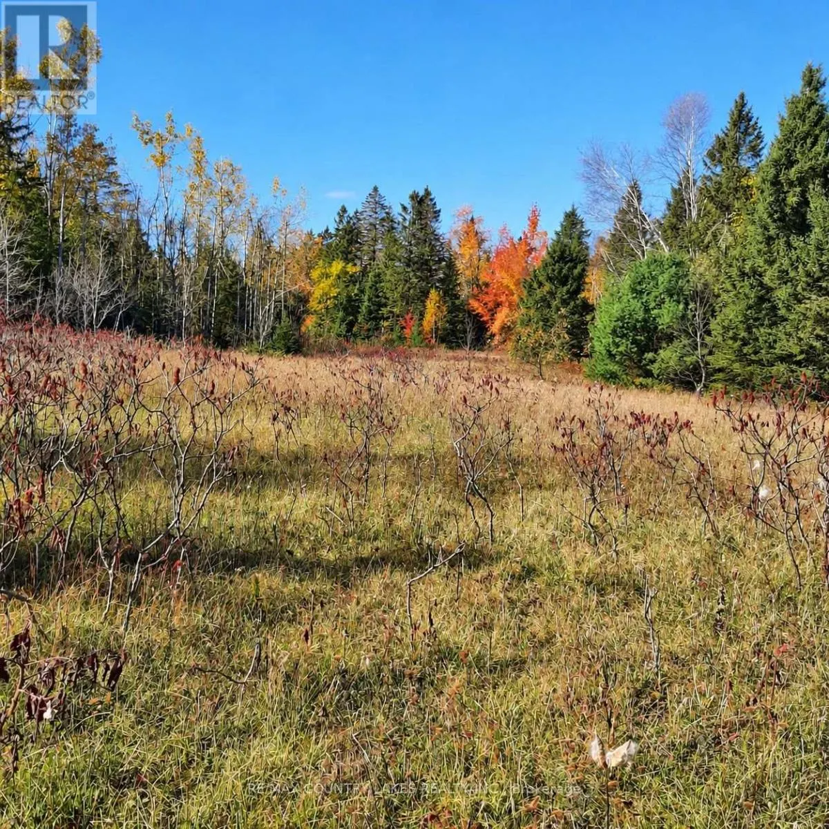 LOT 13 HARTLEY RD ROAD