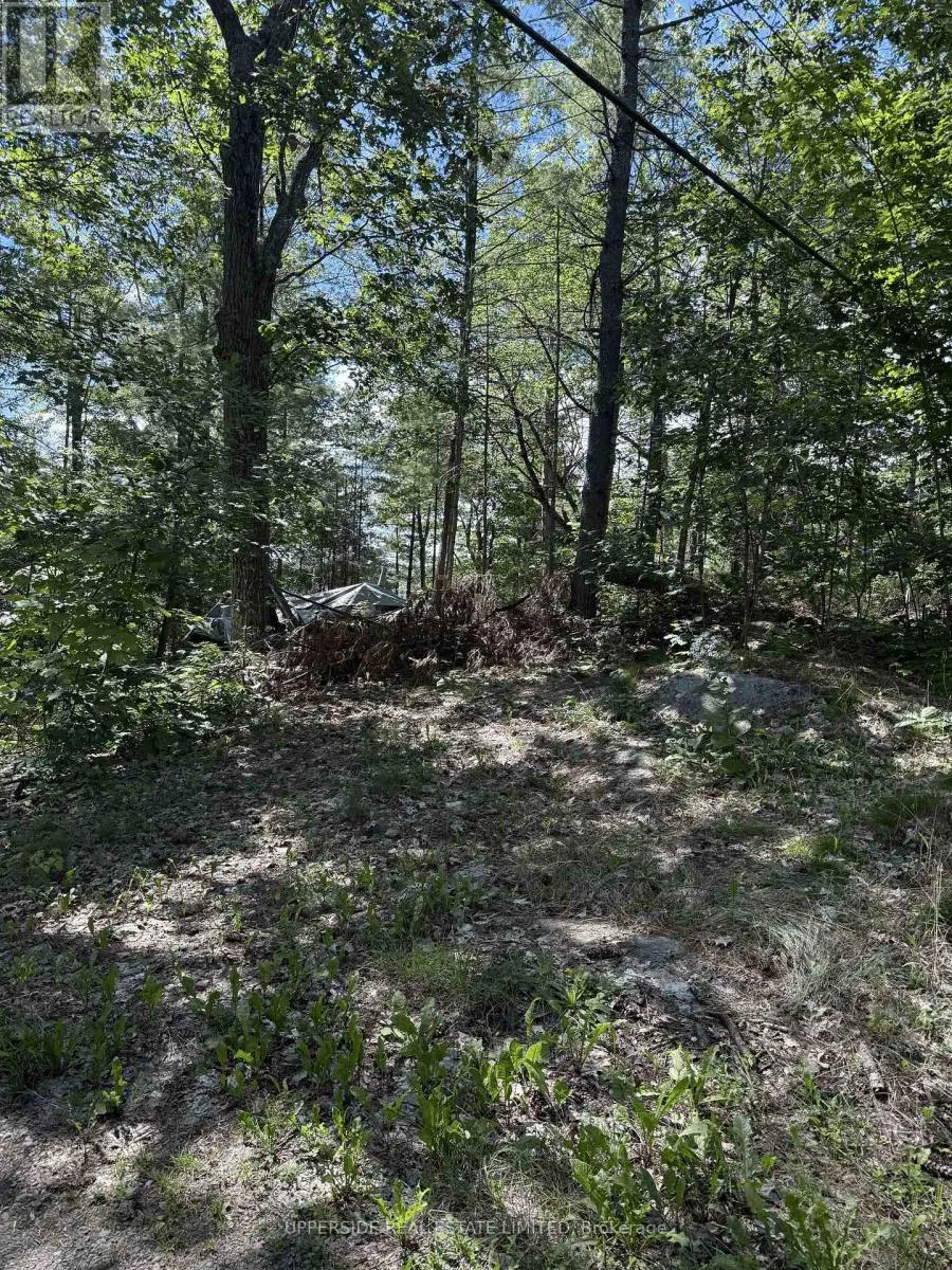 VACANT LAND - 1040 OAK ROAD