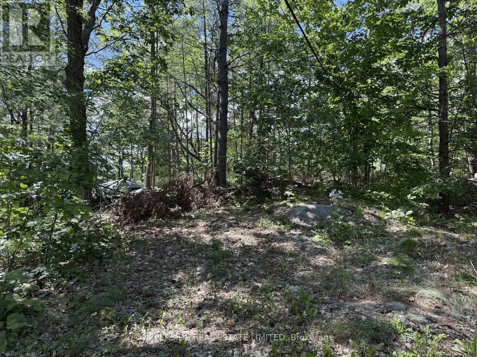 VACANT LAND - 1040 OAK ROAD