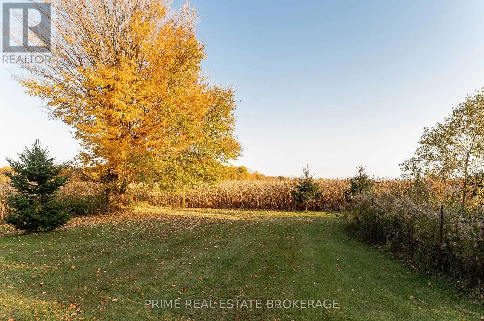 23415 MCDOUGALL LINE