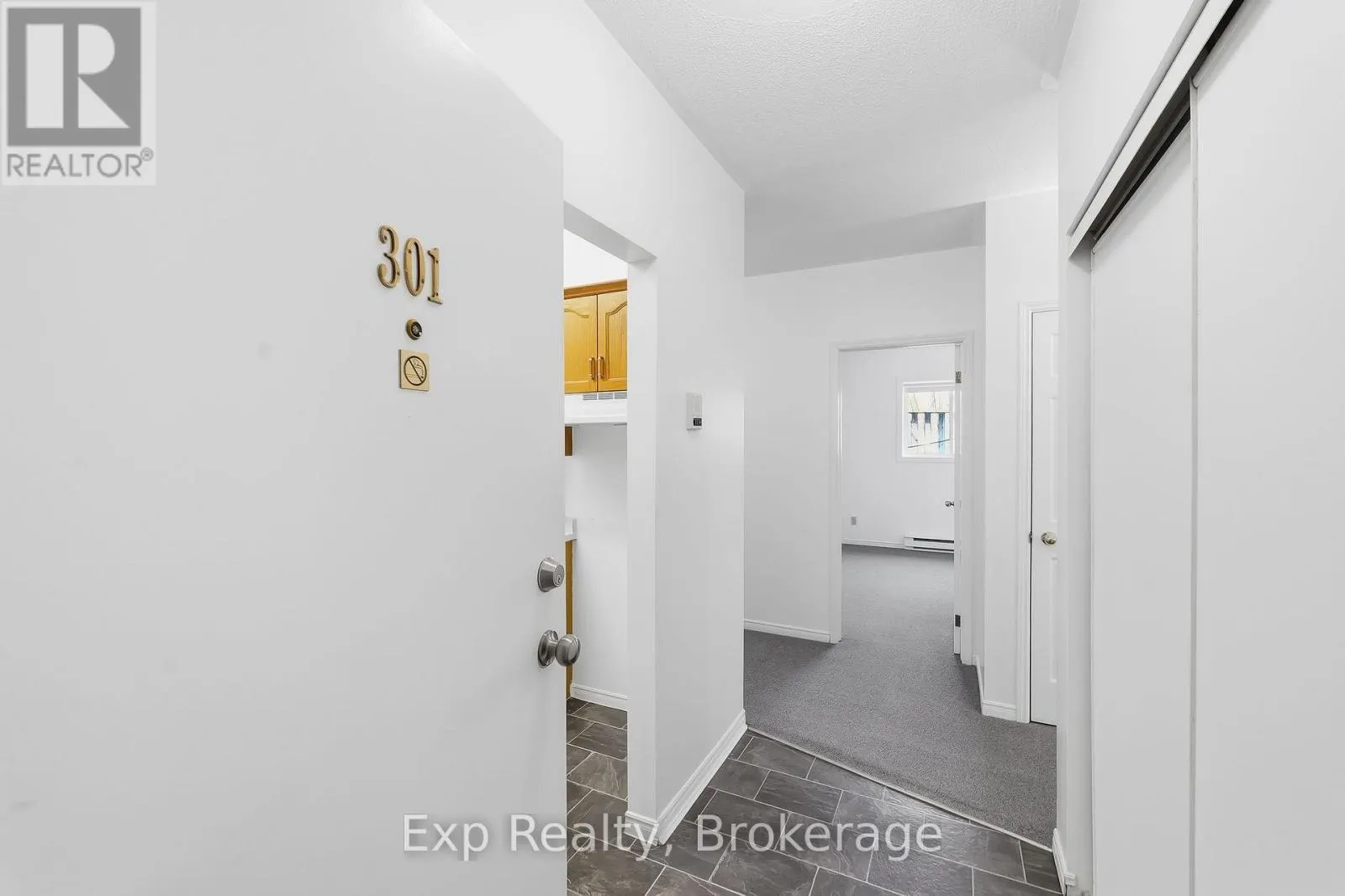 301 - 117 PRINCE EDWARD STREET #301