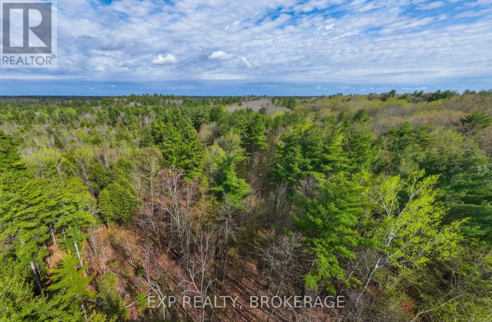 LOT 1 ROAD 38