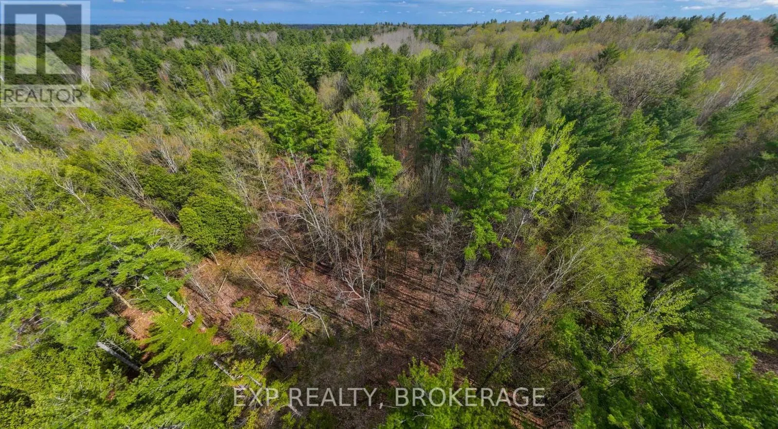 LOT 1 ROAD 38