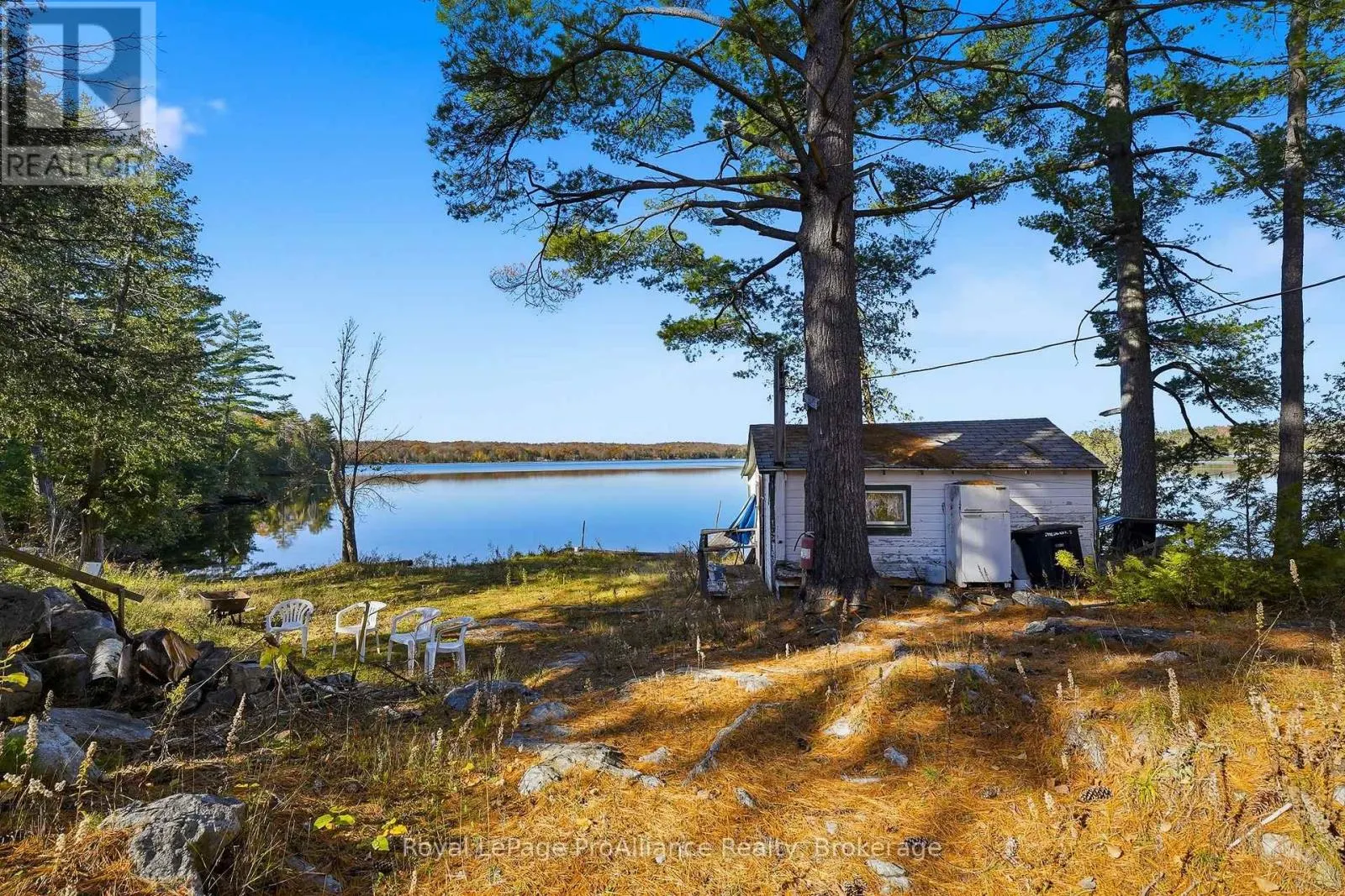 1239 TRANQUILITY LANE