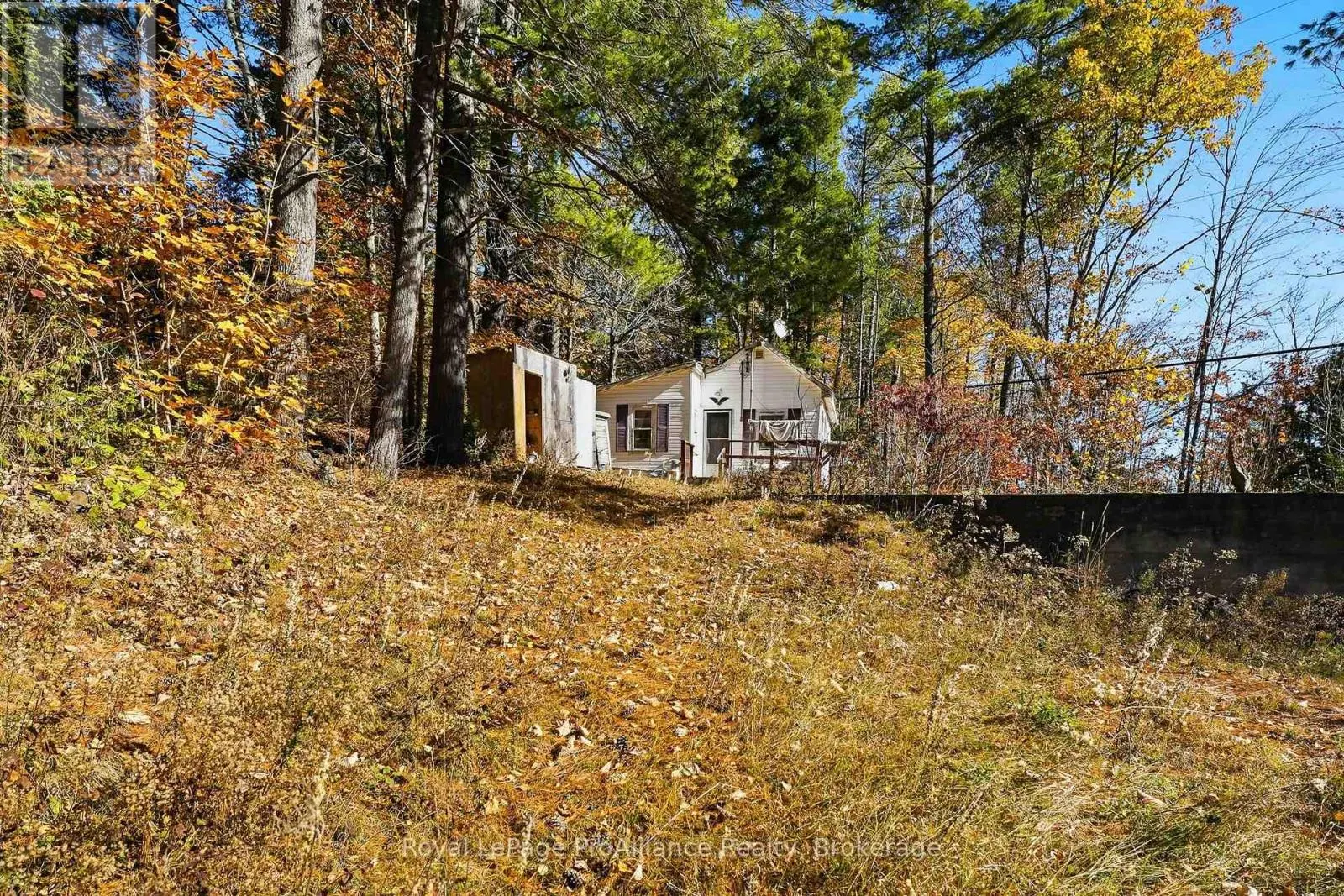 1239 TRANQUILITY LANE