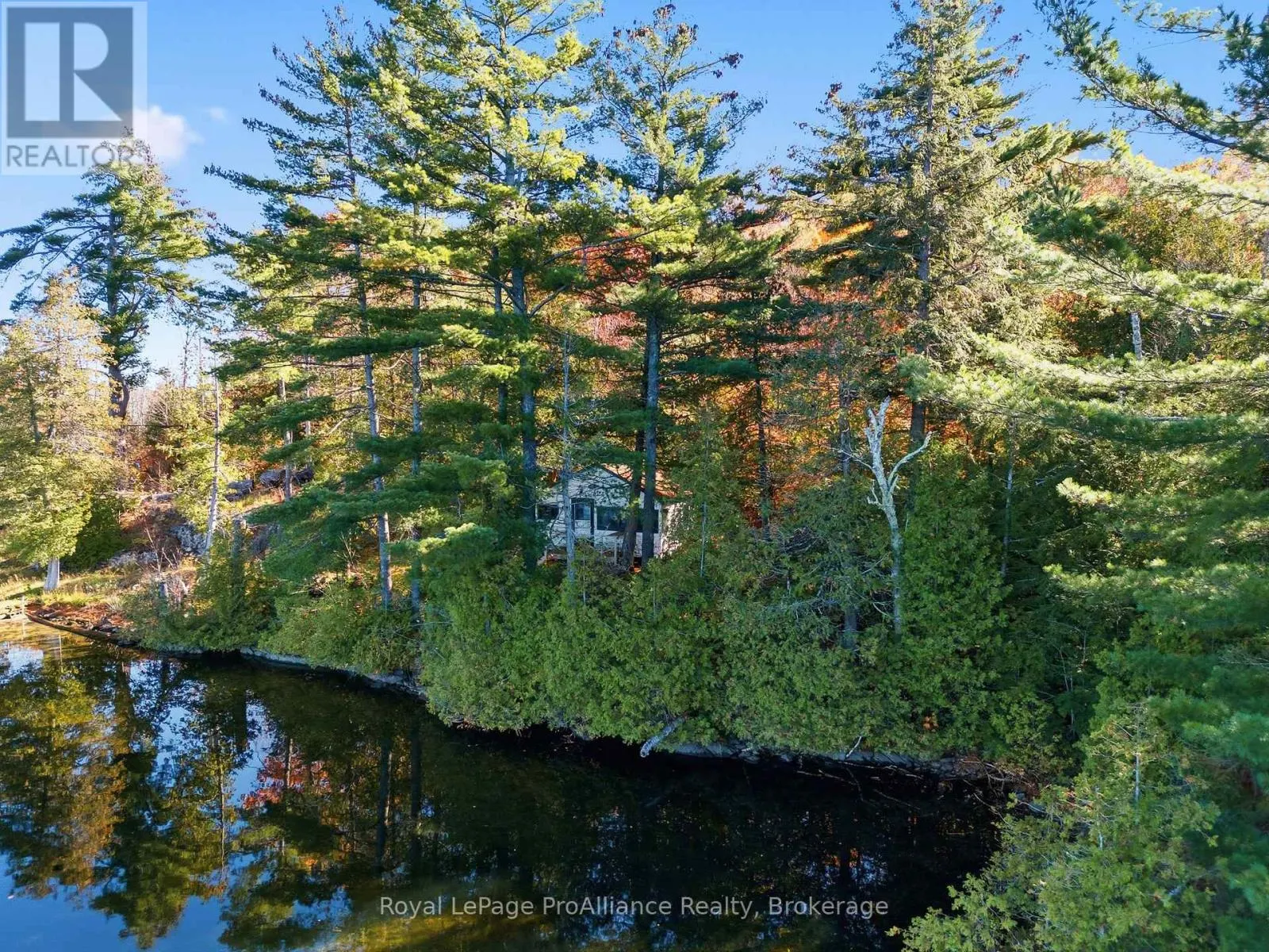 1239 TRANQUILITY LANE