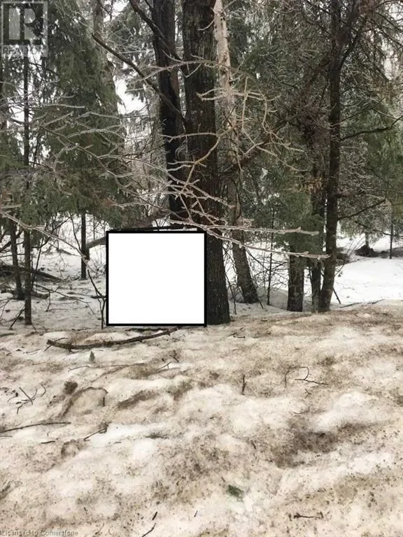 1173 SOUTH BAPTISTE LAKE Road