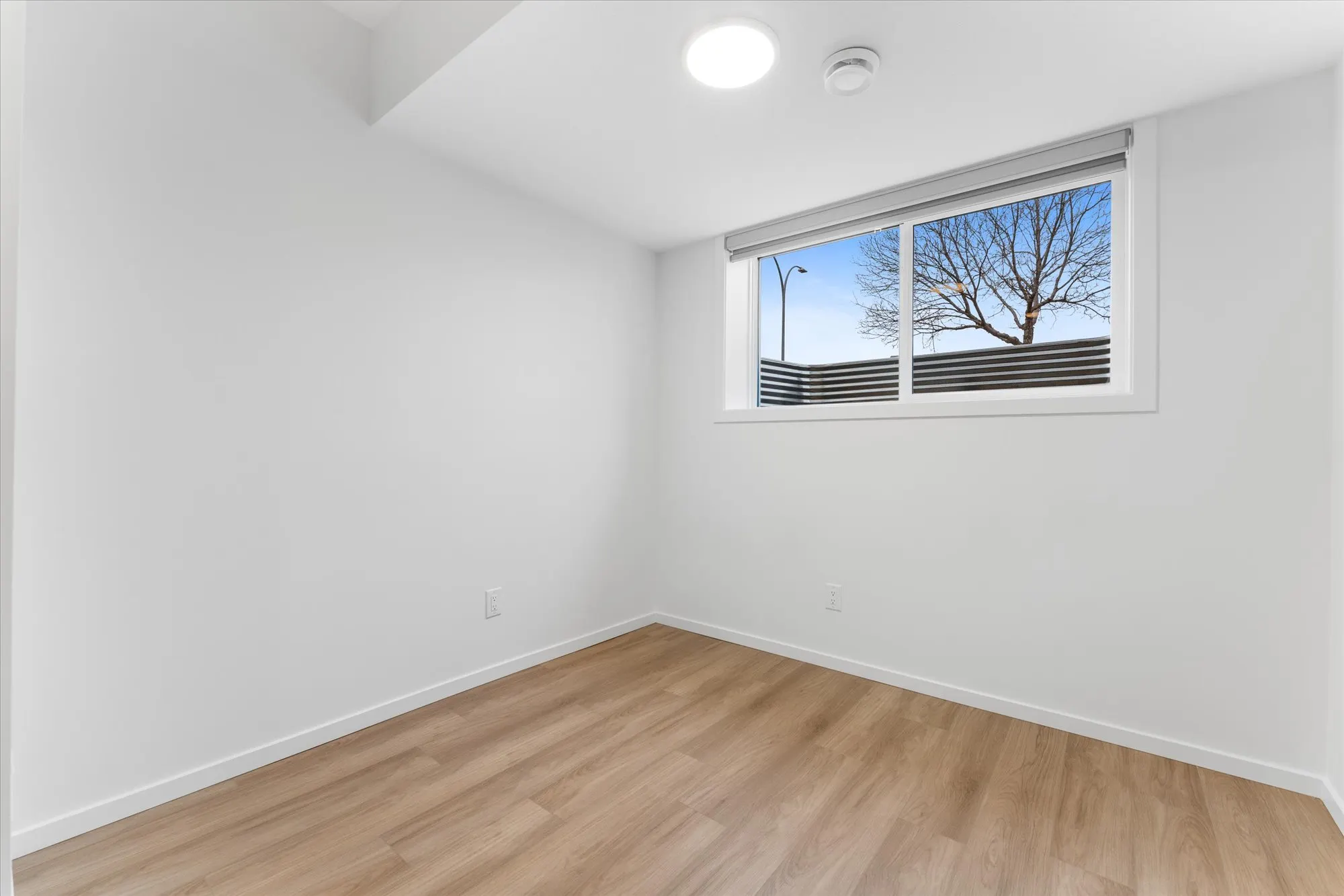 81 Street NW