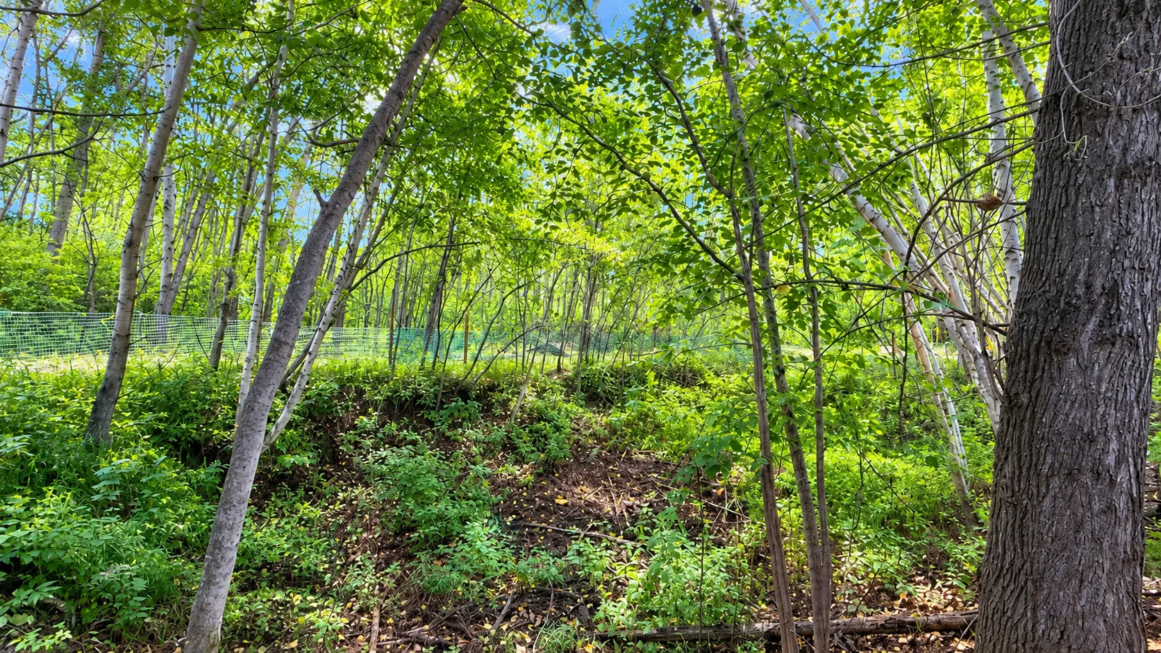Township Rd 514