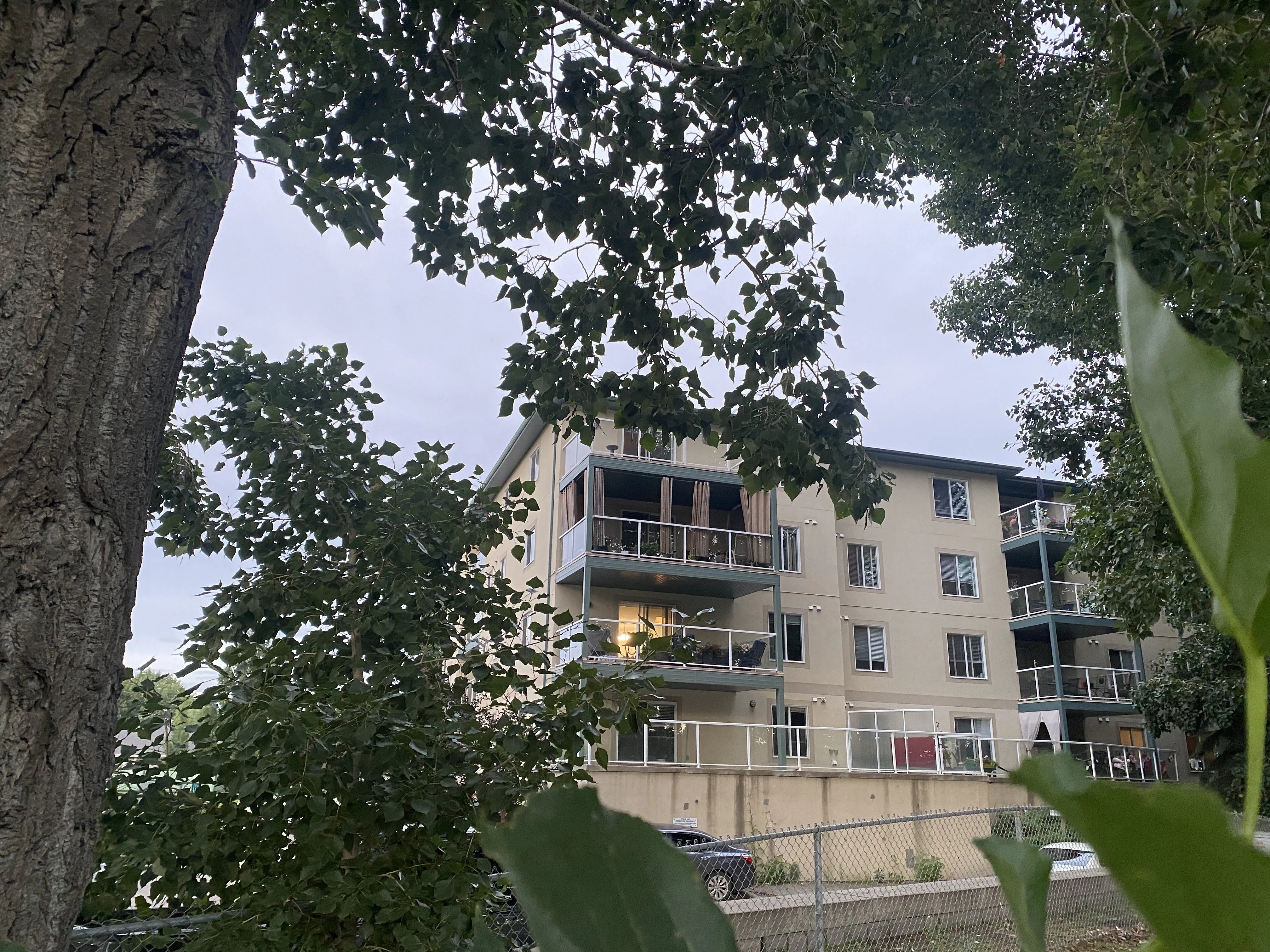 Lewis Estates Blvd NW