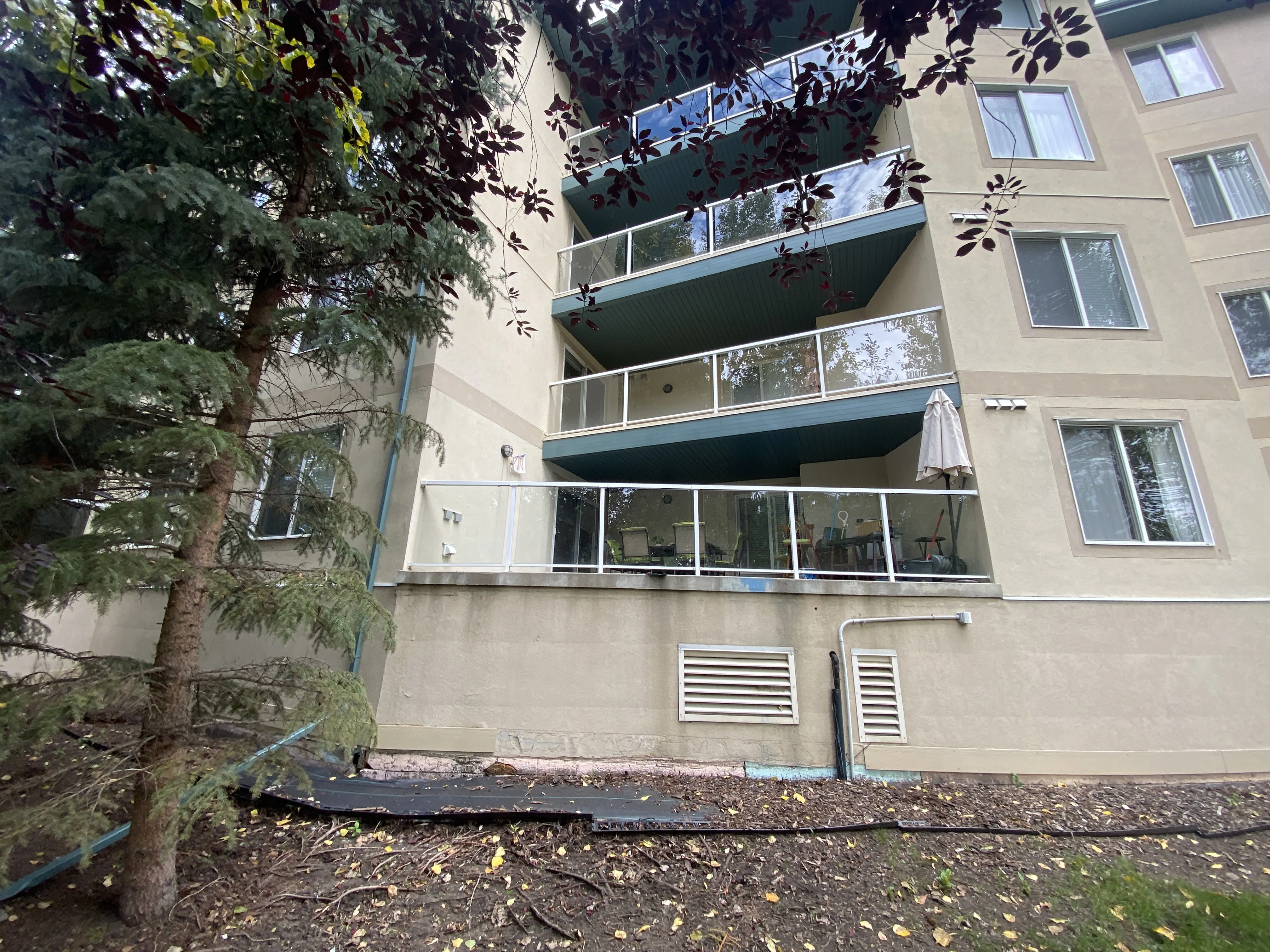 Lewis Estates Blvd NW