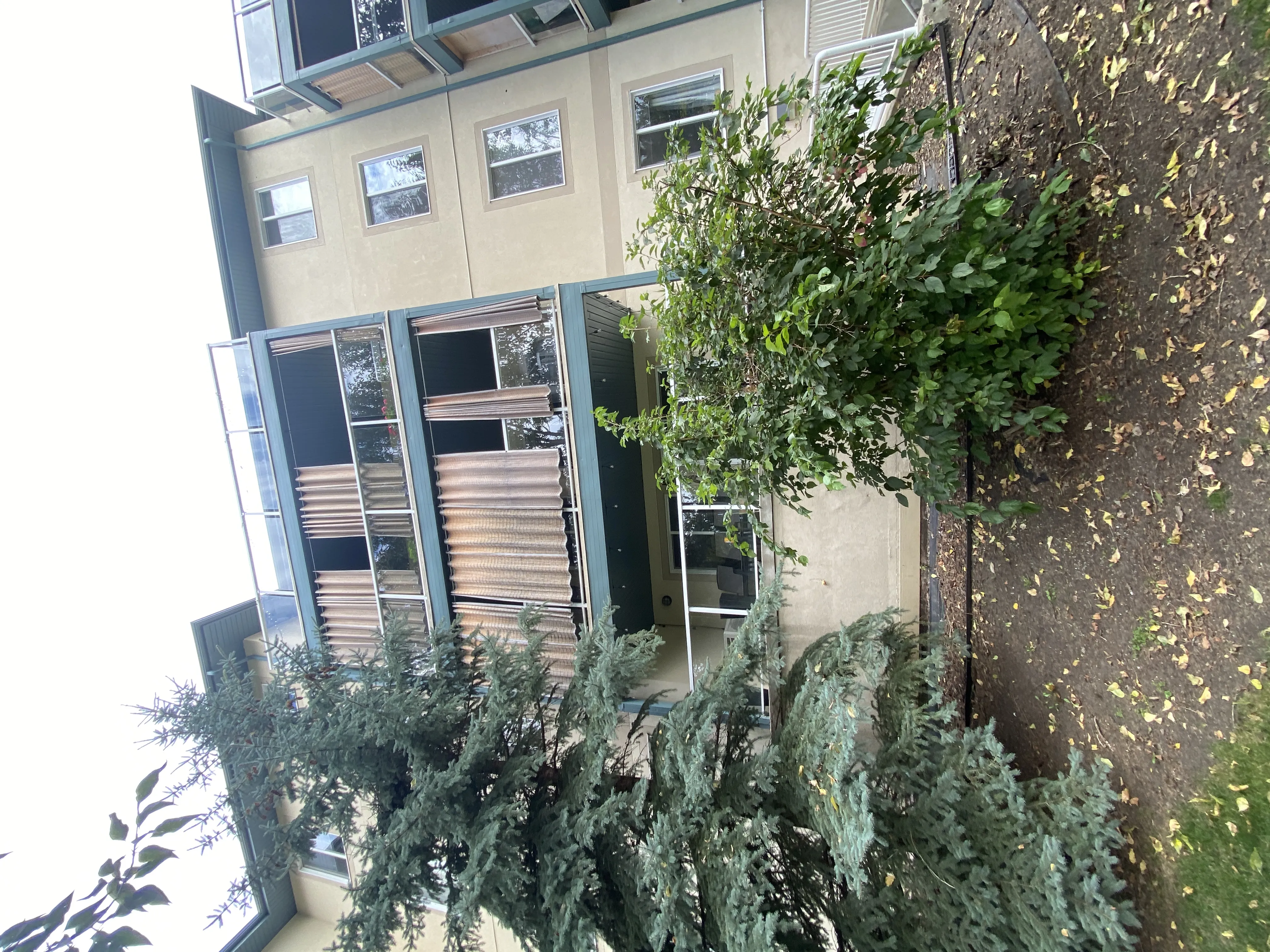 Lewis Estates Blvd NW