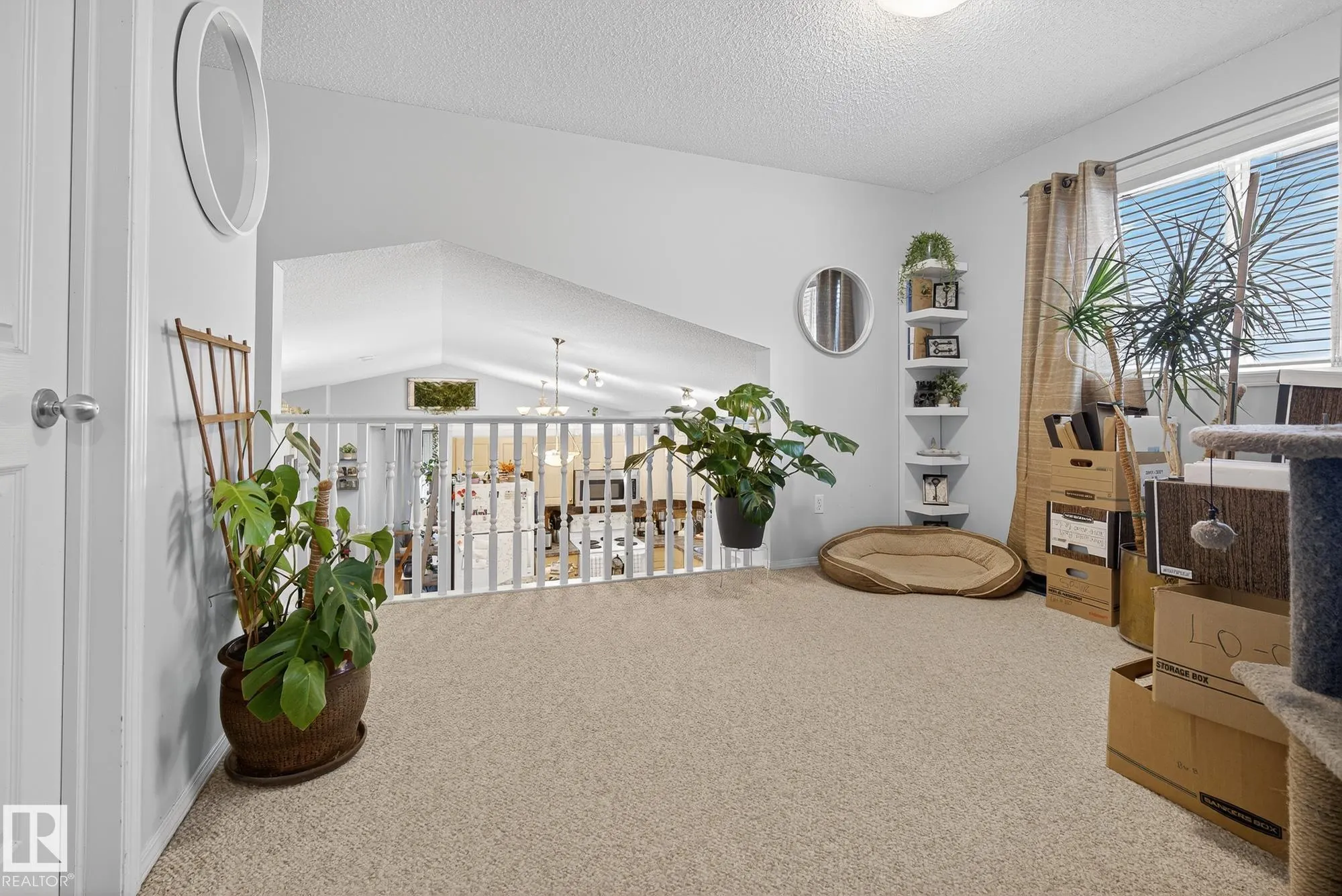 3021 TRELLE Crescent